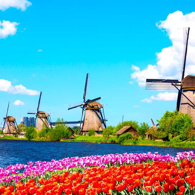 Amsterdam to Kinderdijk: Private day trip