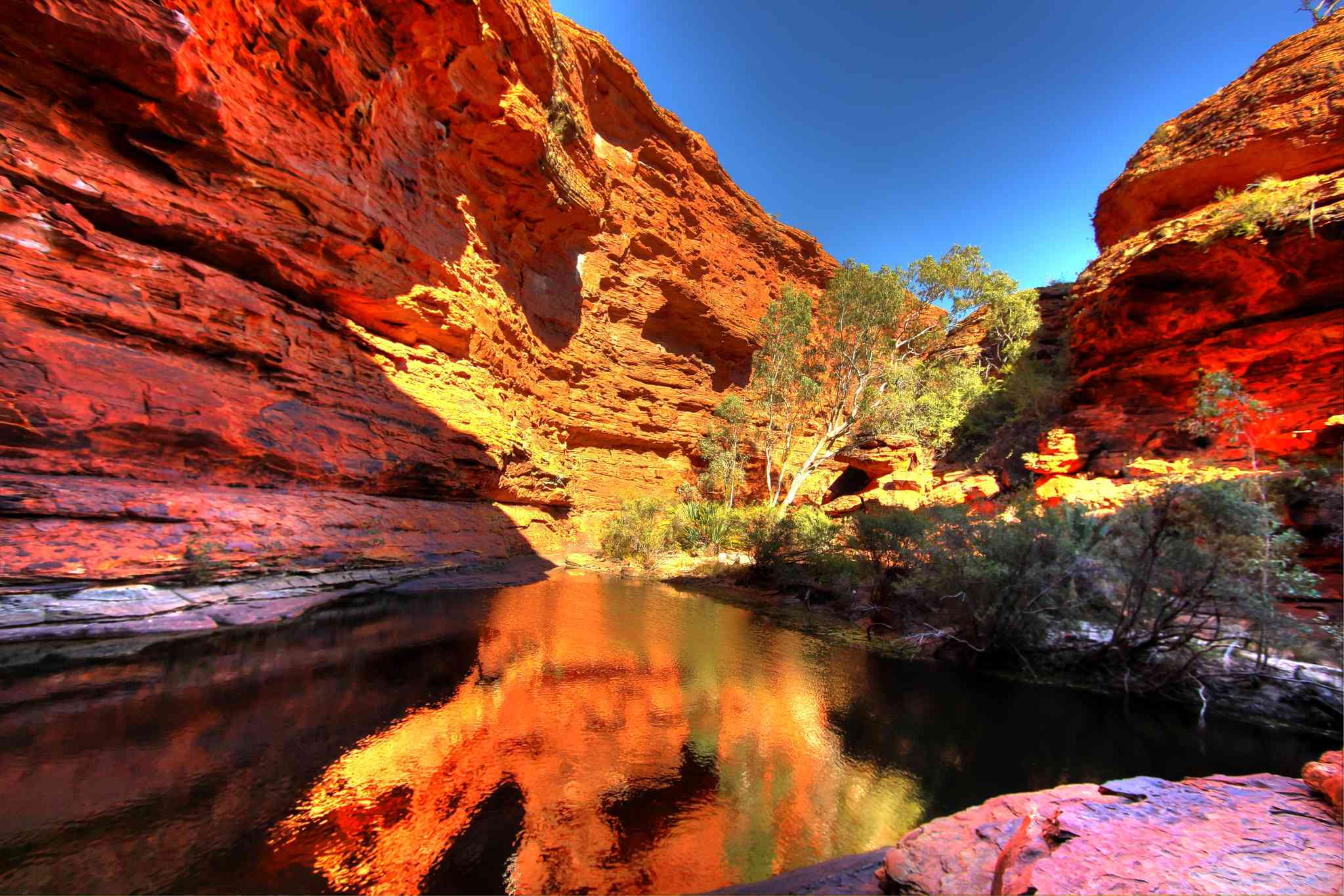 Vista cênica de Modesto - excursão particular de um dia de Kings Canyon - foto 3