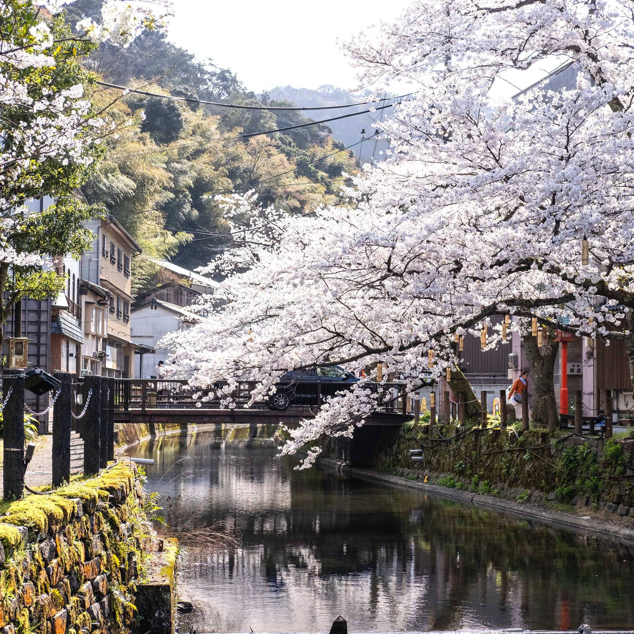Kinosaki Onsen