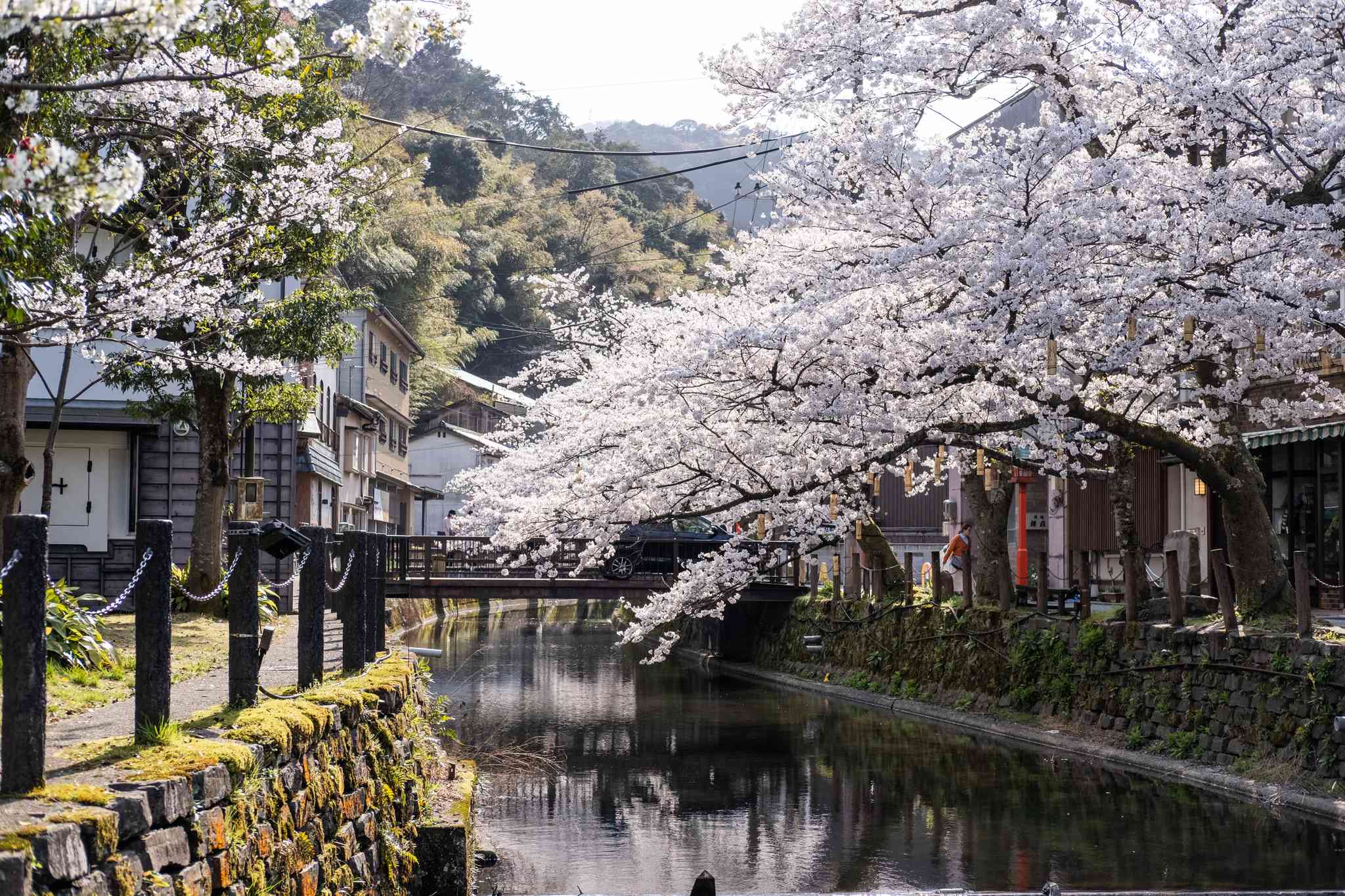 Osaka 의 경치 - Osaka 에서 출발하는 개인 day trip - 사진 1