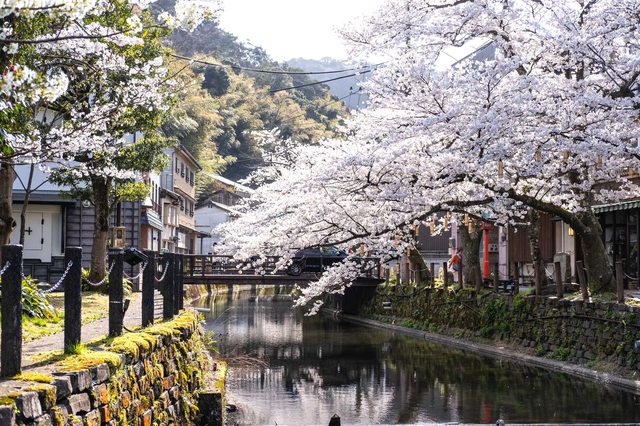 Opção de excursão privada de um dia de Osaka