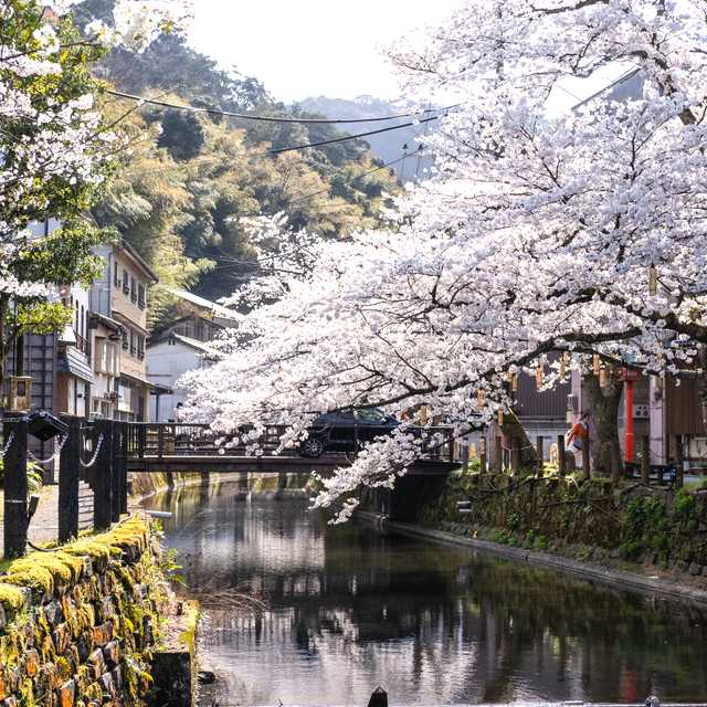 Osaka to Kinosaki Onsen: Private day trip
