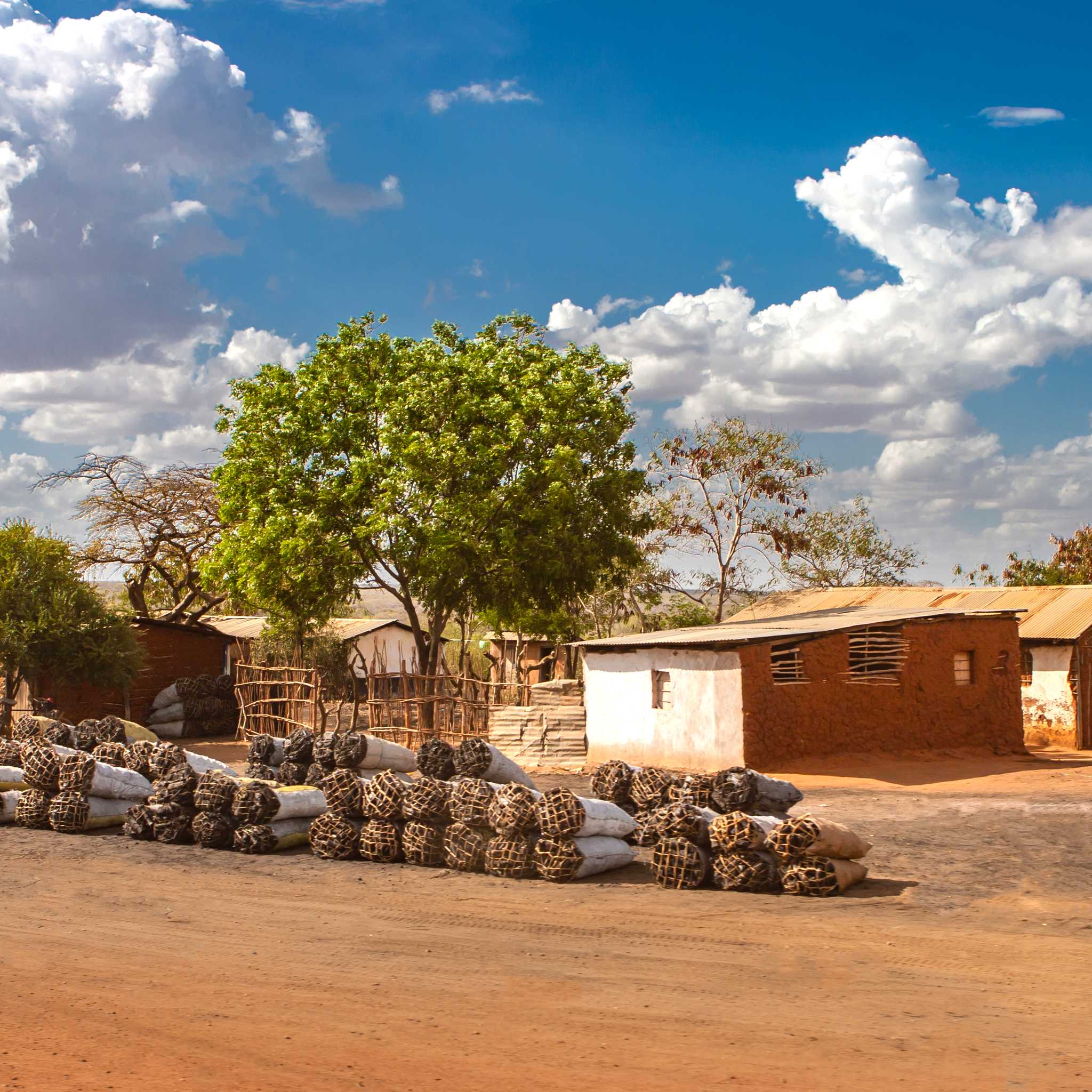 Kitale