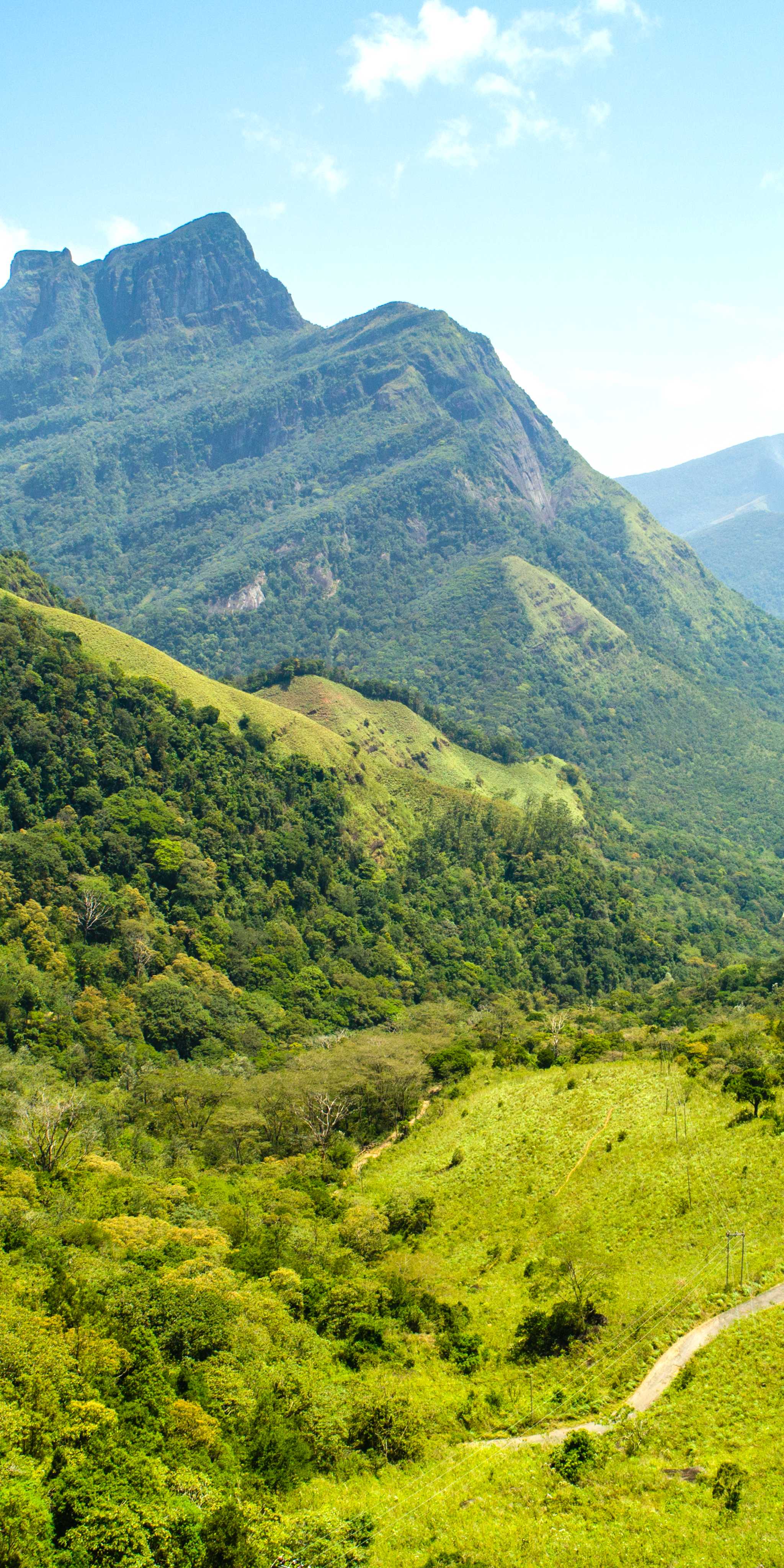 Knuckles Mountain Range