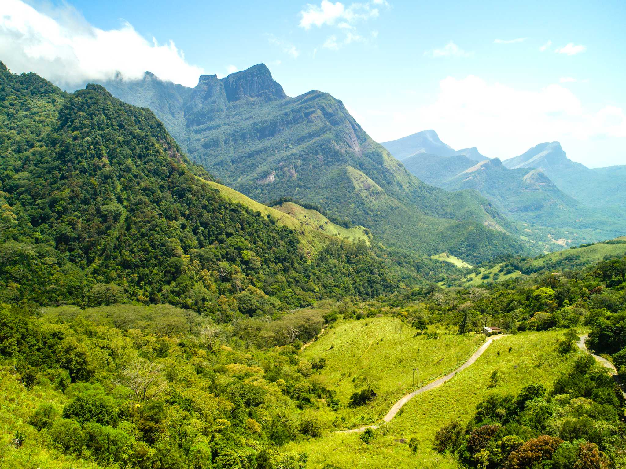 Option privée d'excursion d'une journée depuis Colombo