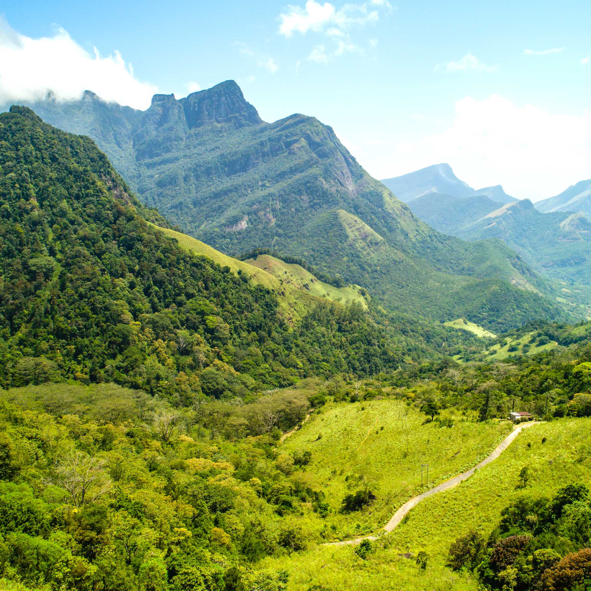 Knuckles Mountain Range