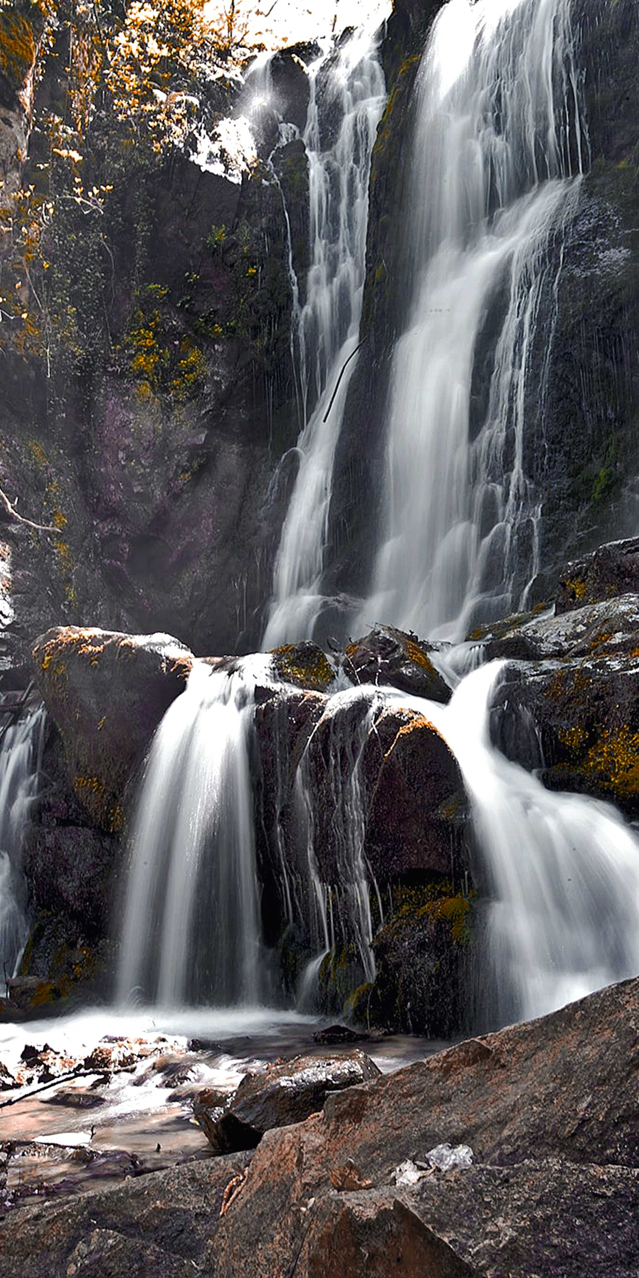 ์ฝ๋ ์๋
ธ ํญํฌ