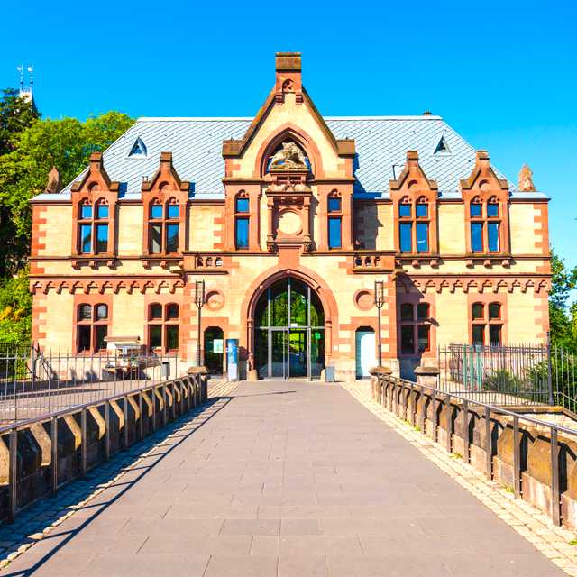 Cologne to Konigswinter and Linz am Rhein: Private day trip