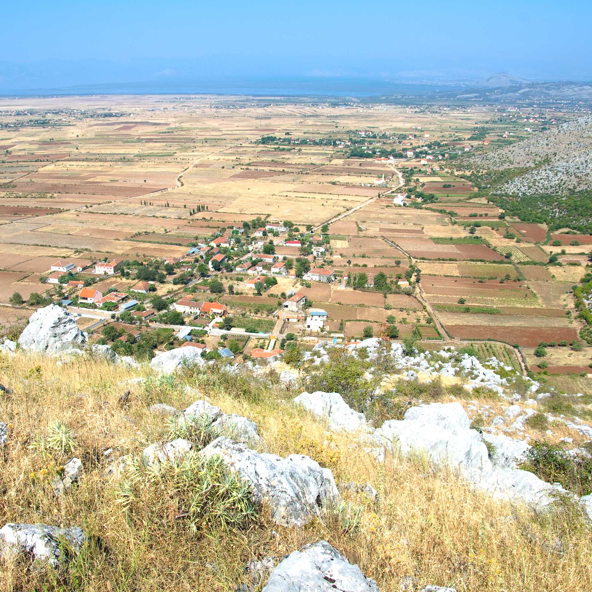 Koplik