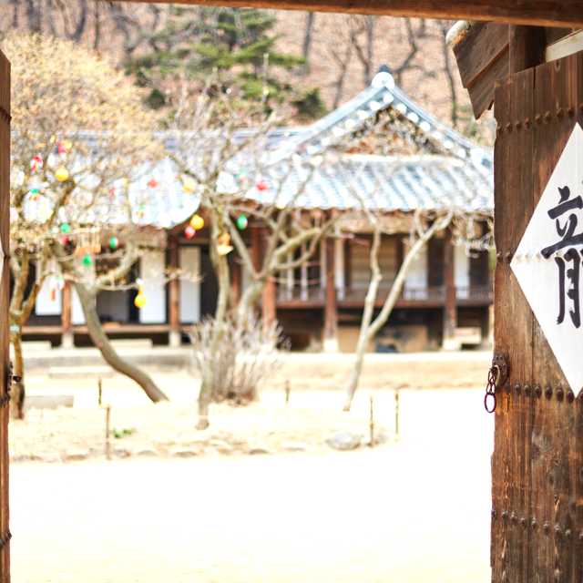 Seoul to Korean Folk Village and Transport Museum: Day trip