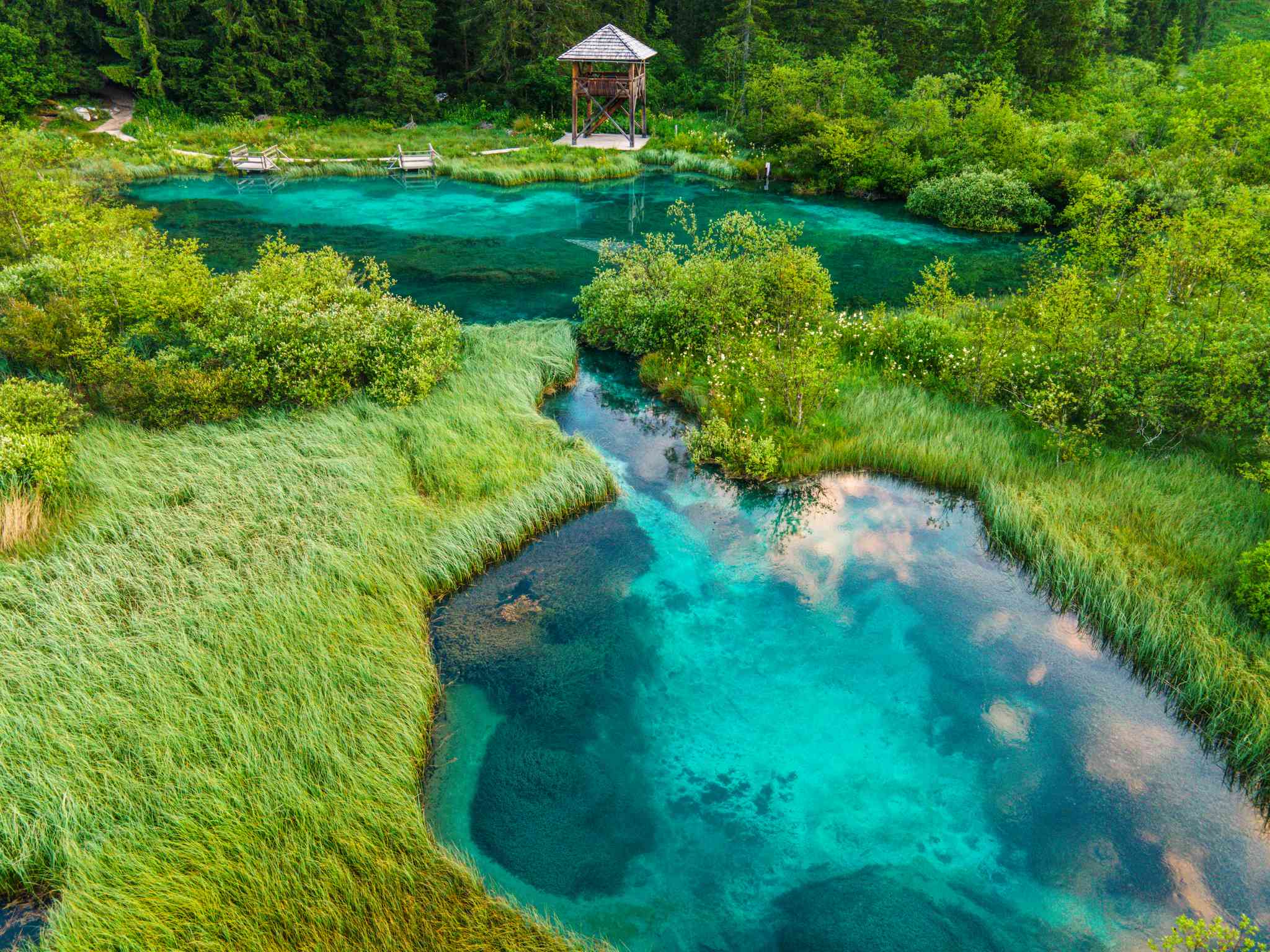 Blick auf die Landschaft von Kranjska Gora - Zelenci-See - private Tagesreise von Venedig - Foto 3