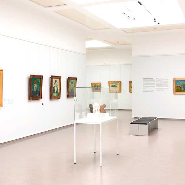 Amsterdam to Kroller-Muller Museum: Private day trip