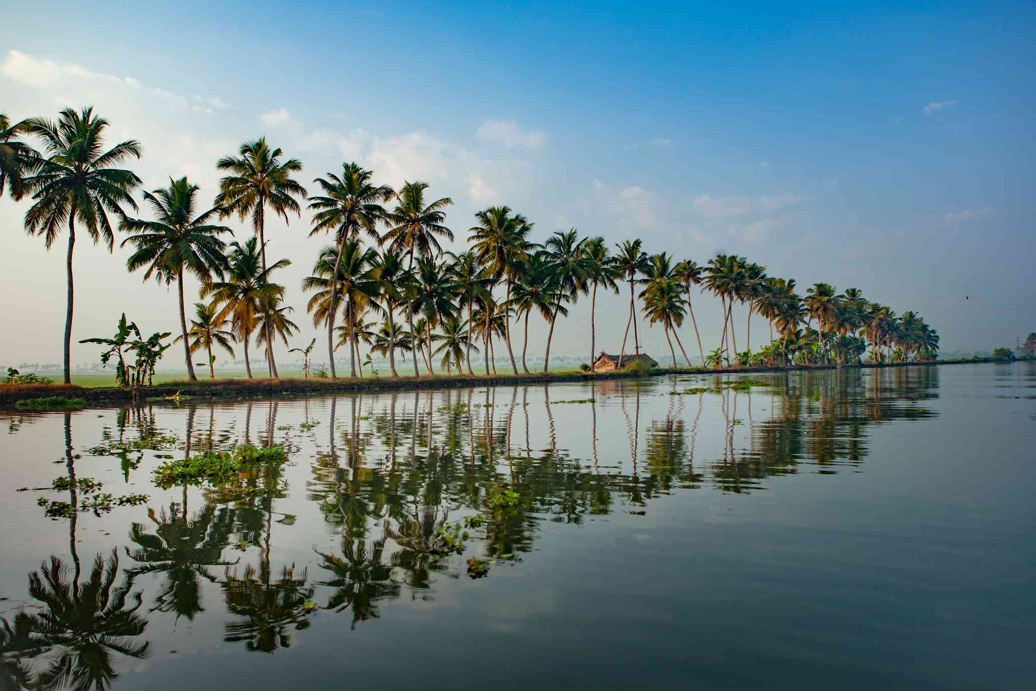 Kochi 의 경치 - Kumarakom 에서 출발하는 개인 day trip - 사진 5