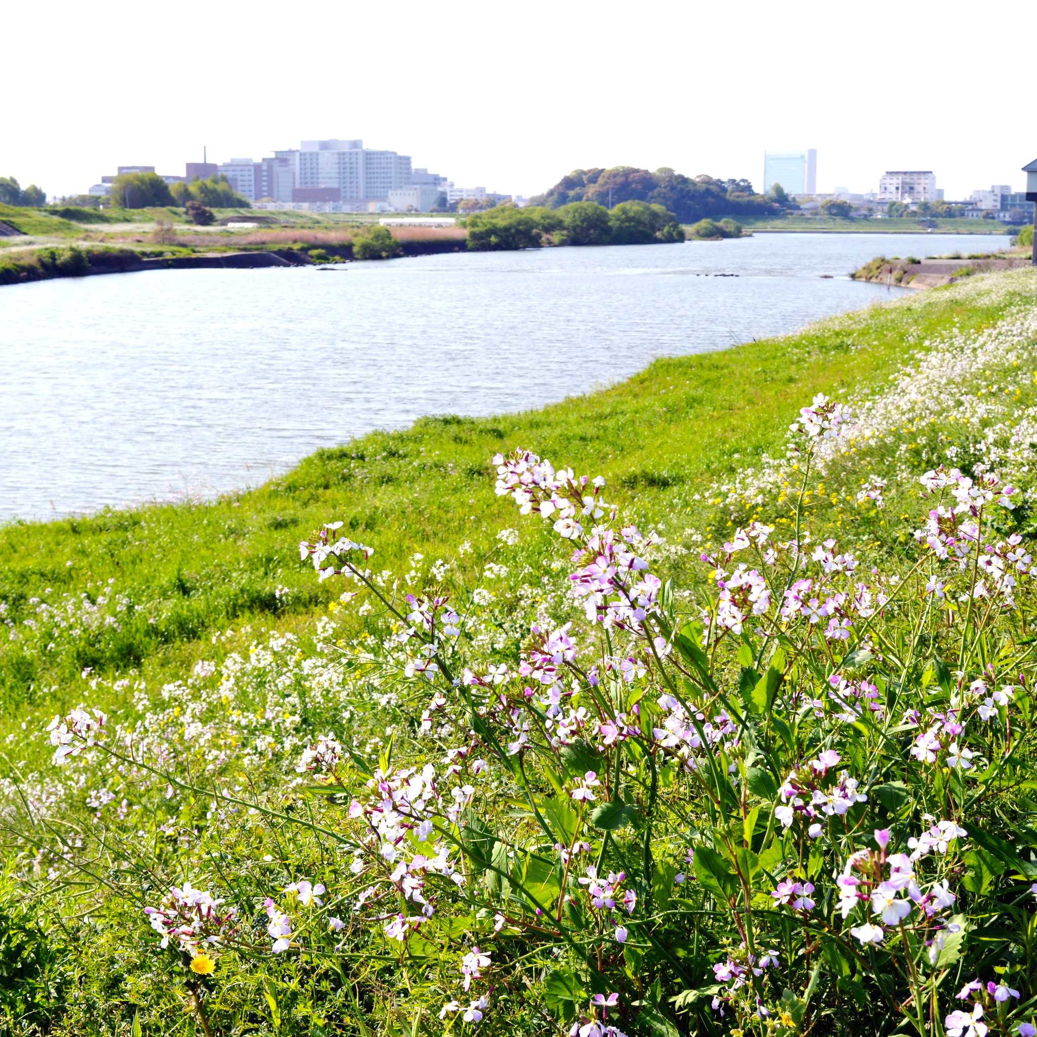 Kurume
