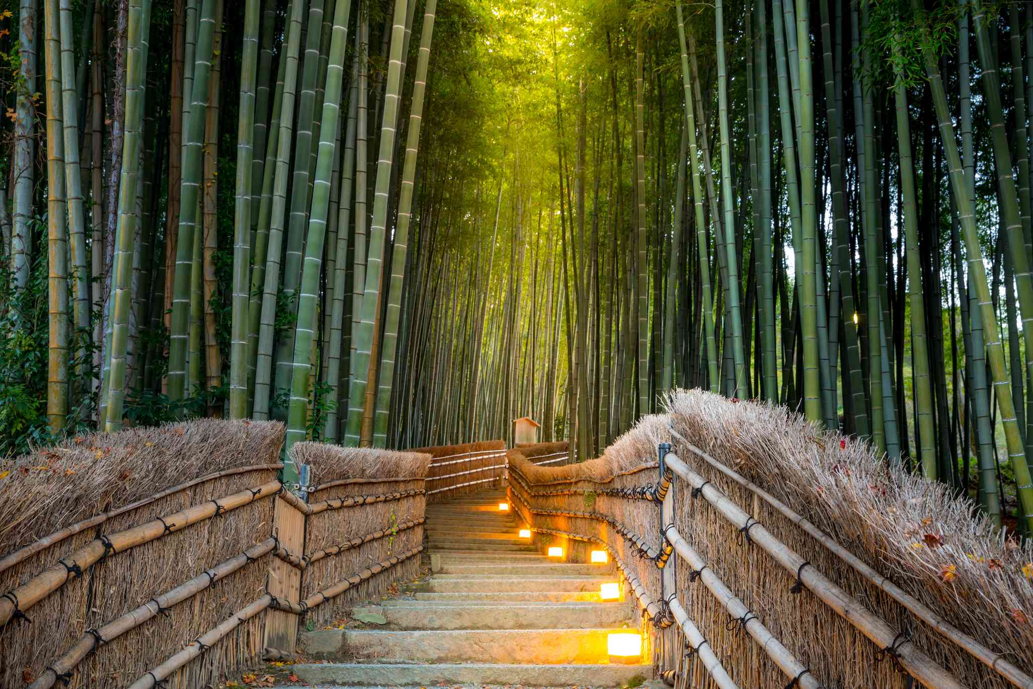 Vista panorámica de Nikko - excursión privada de un día desde Kyoto - foto 10