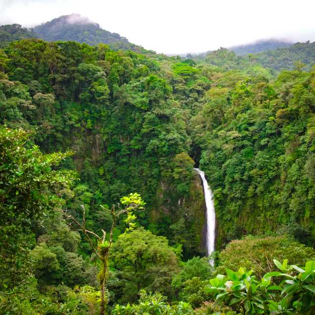 San Jose to La Fortuna Waterfall: Private day trip