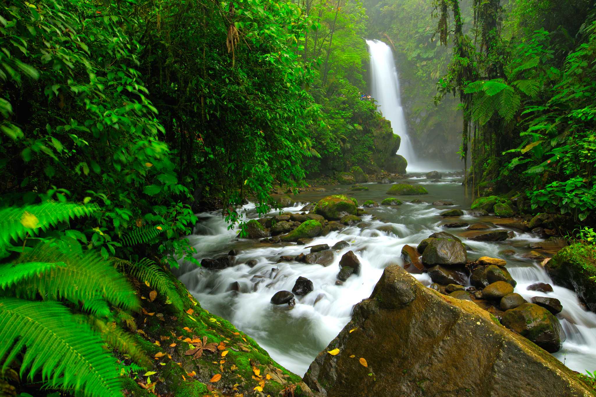 La Fortuna to waterfalls and Poas Volcano: Private day trip