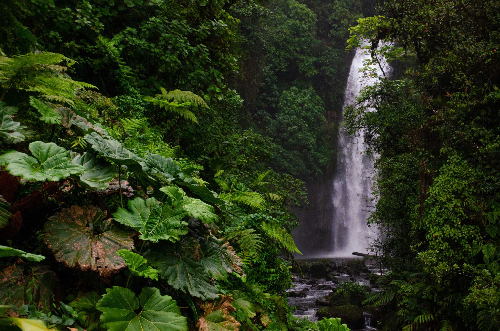 La Paz Waterfall Gardens