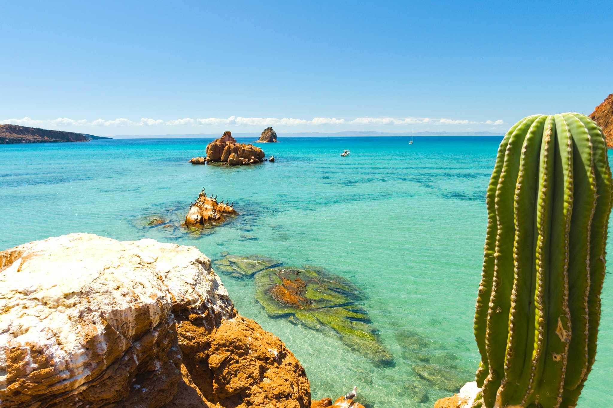 San Jose del Cabo to La Paz: Private day trip