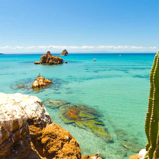 San Jose del Cabo to La Paz: Private day trip