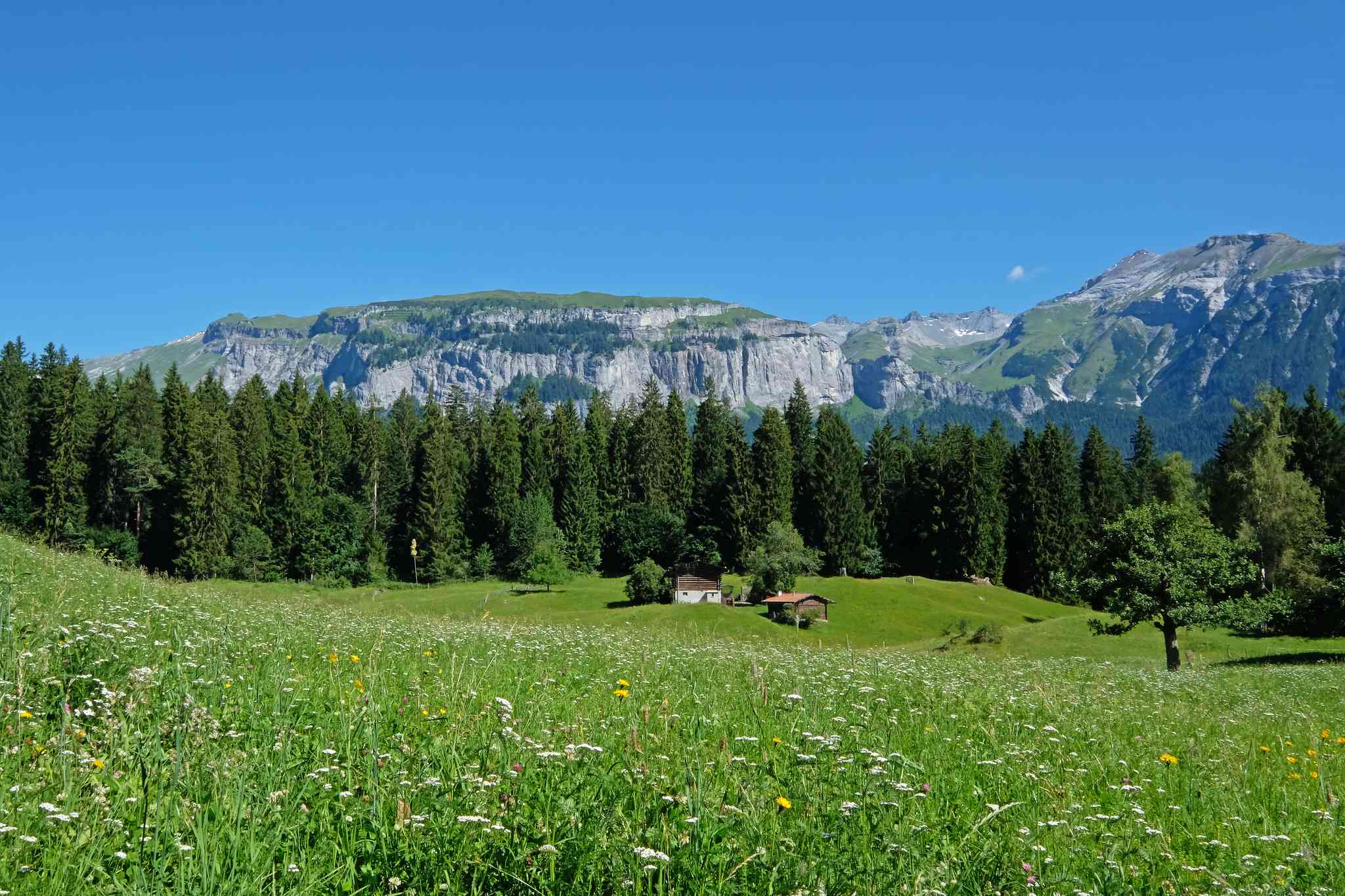 Vista cênica de Laax, Switzerland - excursão particular de um dia de Genebra - foto 2