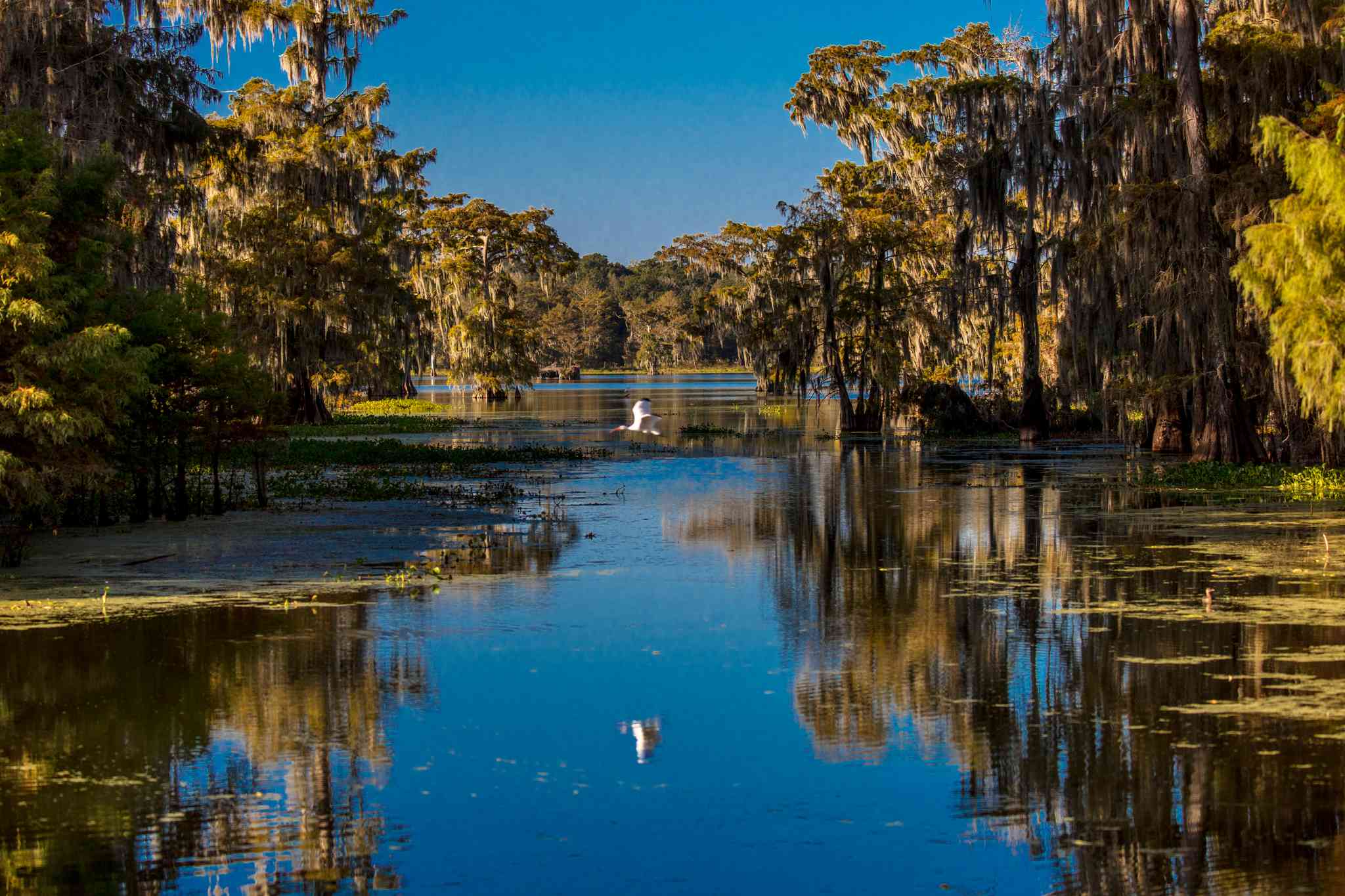 Vista panorámica de Lafayette, LA - excursión privada de un día desde Pensacola, FL - foto 3