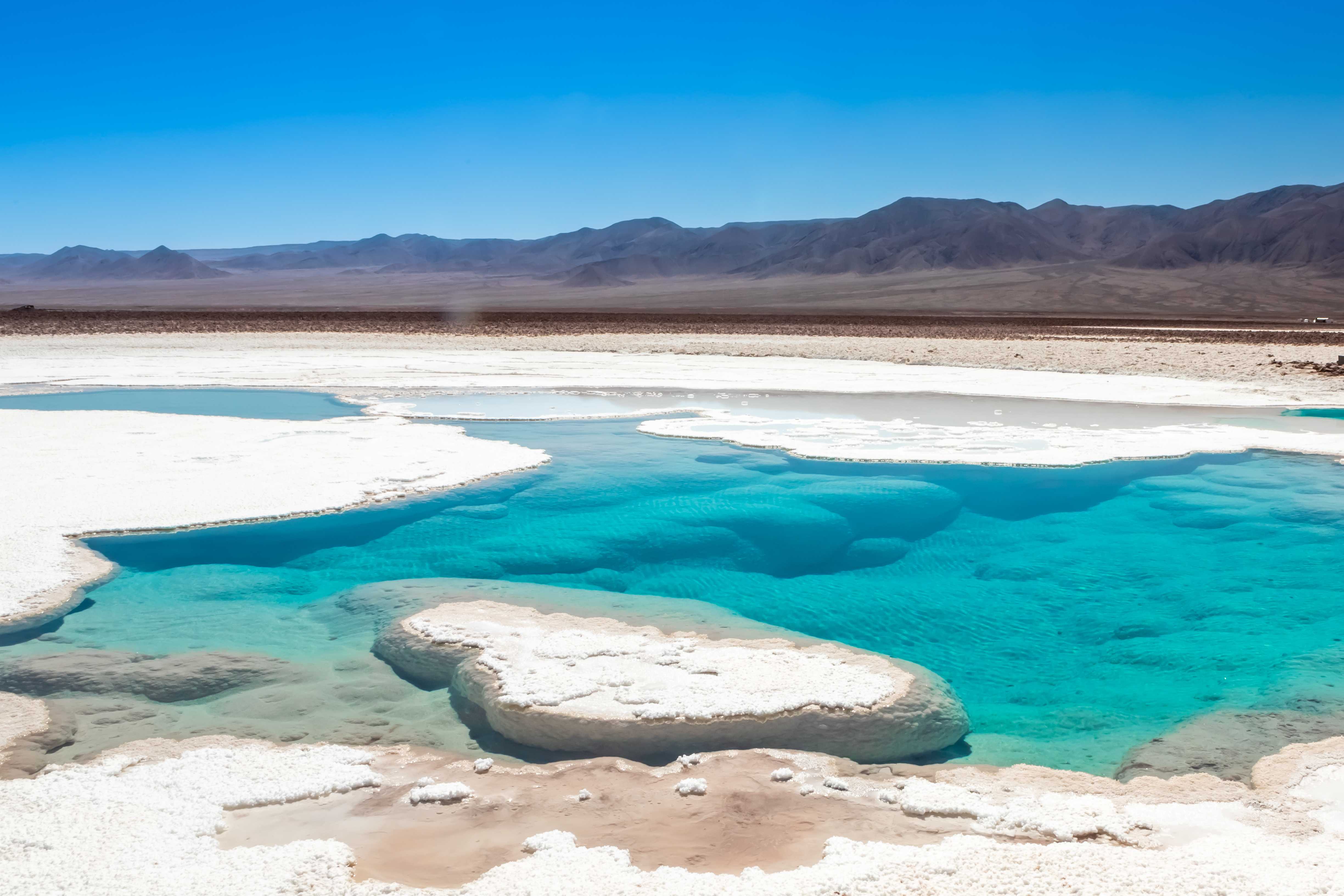 Private Day Trip from Calama to Hidden Lagoons of Baltinache and ...