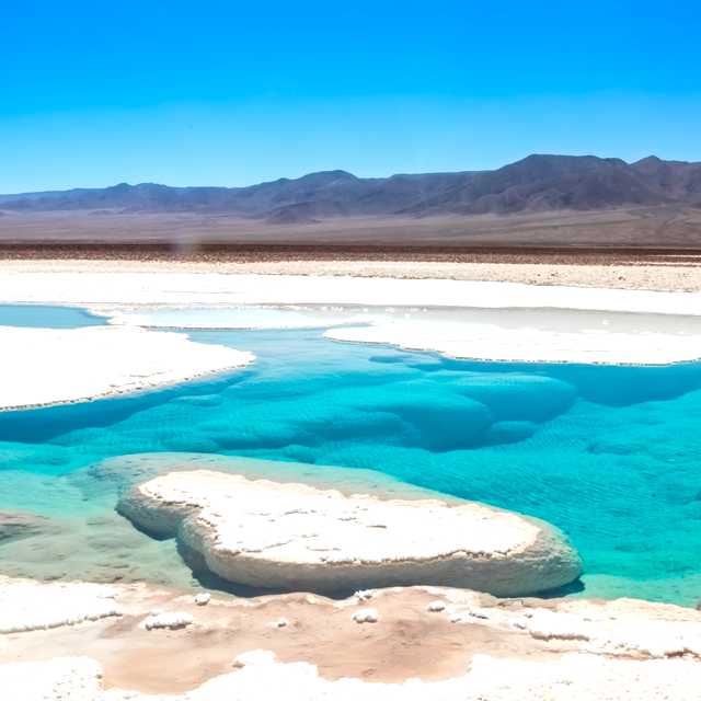 Calama to the Hidden Lagoons and Miscanti Lake: Day trip