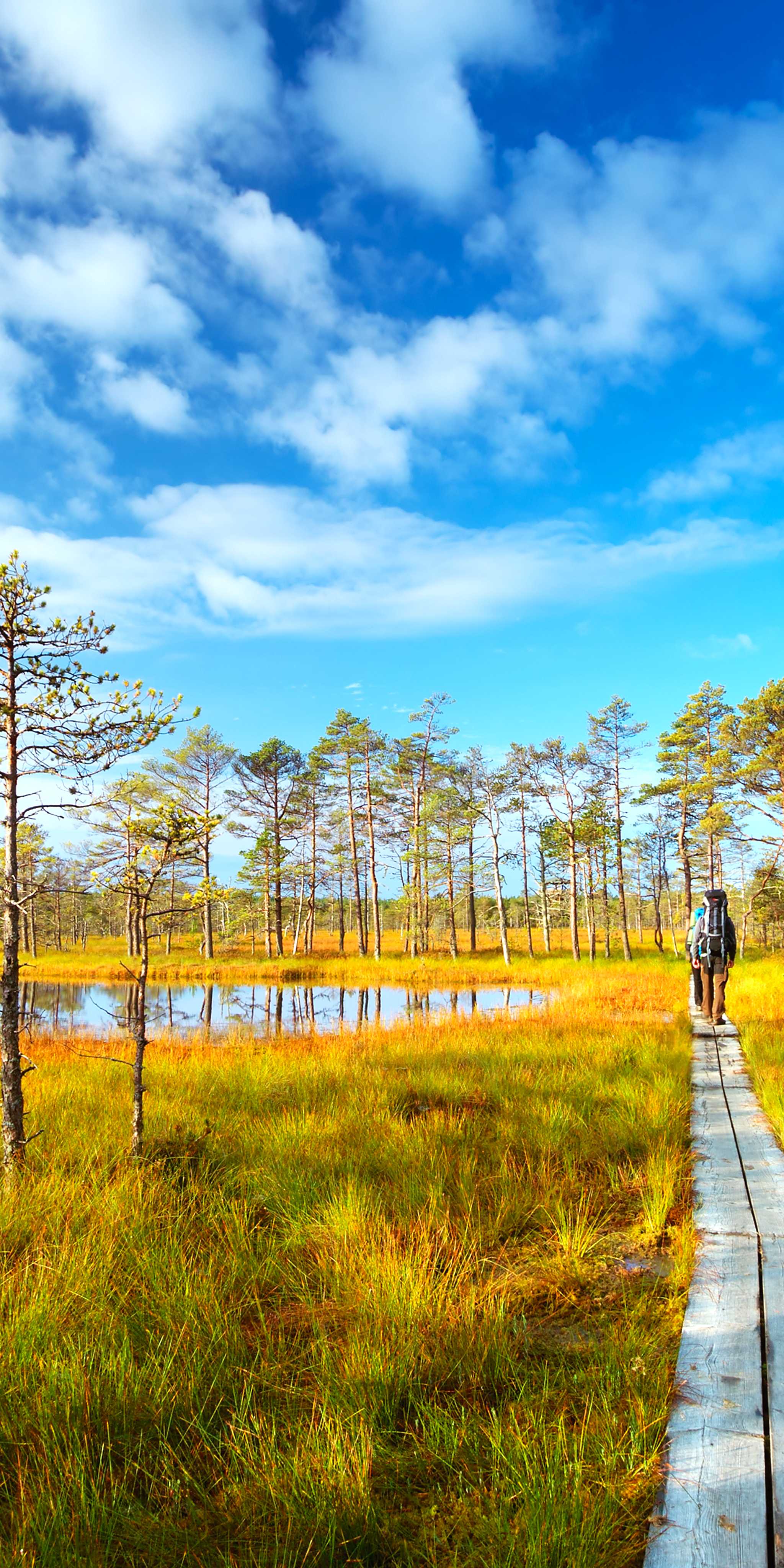 拉赫马国家公园