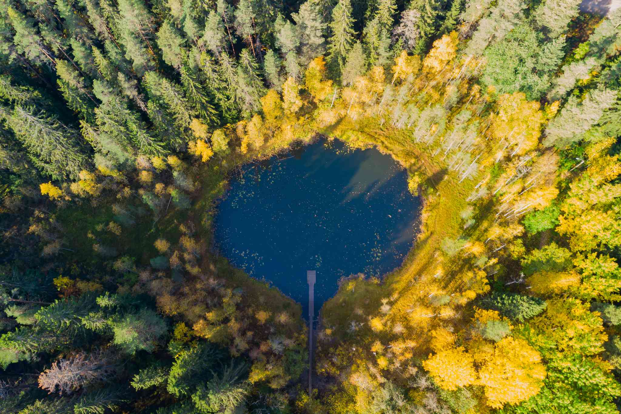 Blick auf die Landschaft von Lahti - private Tagesreise von Helsinki - Foto 3