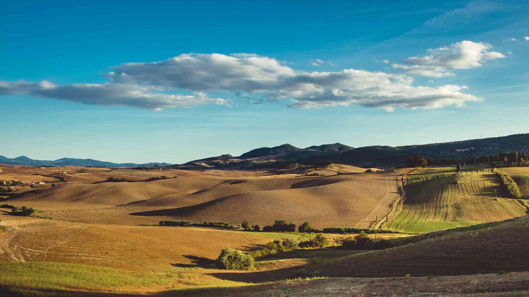 Blick auf die Landschaft von Florenz - private Tagesreise von Lajatico - Foto 10