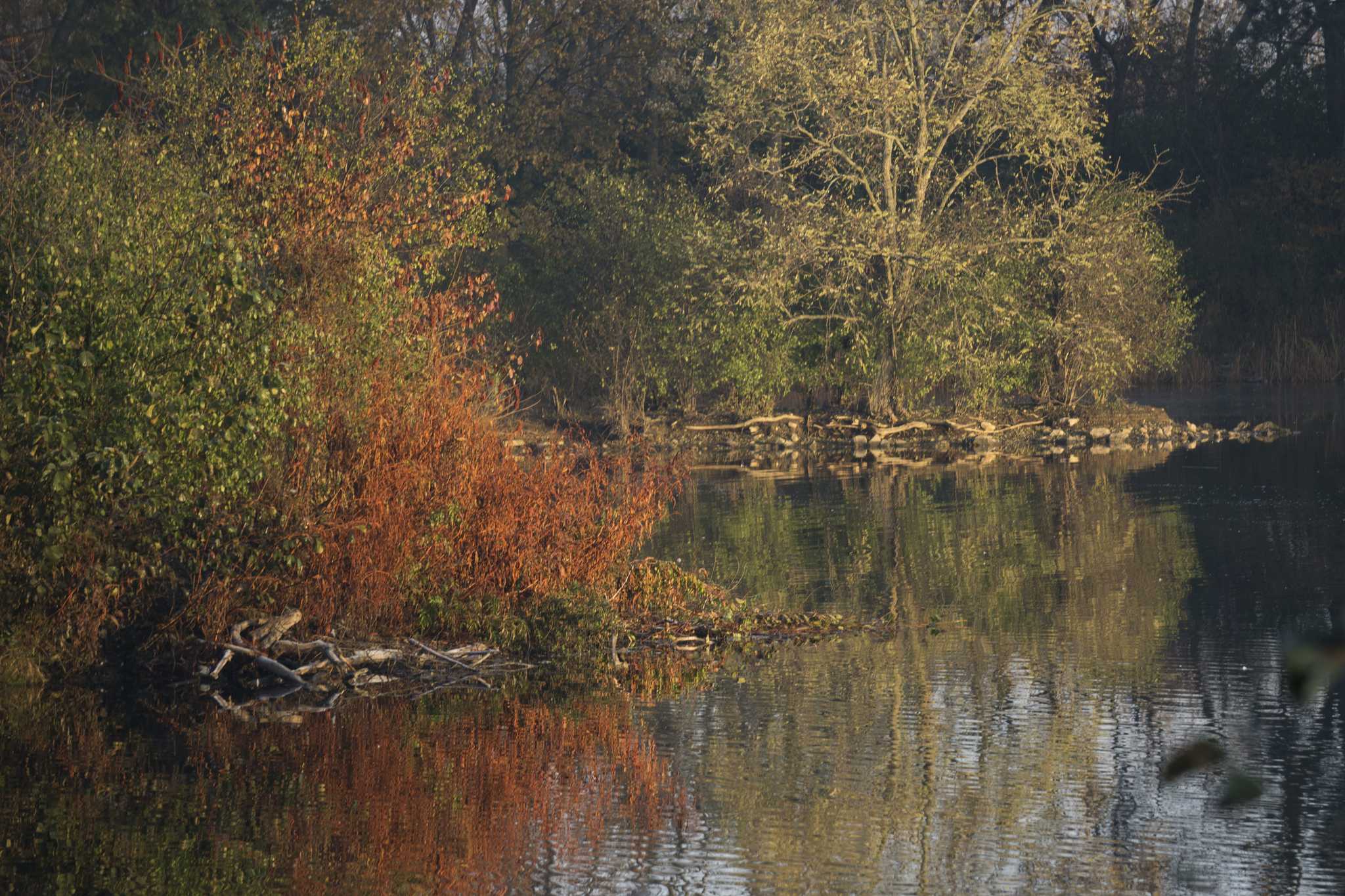 Visitez Lake Katherine Nature Center & Botanic Gardens sur le chemin de south-bend-in-us à chicago-il-us avec Daytrip