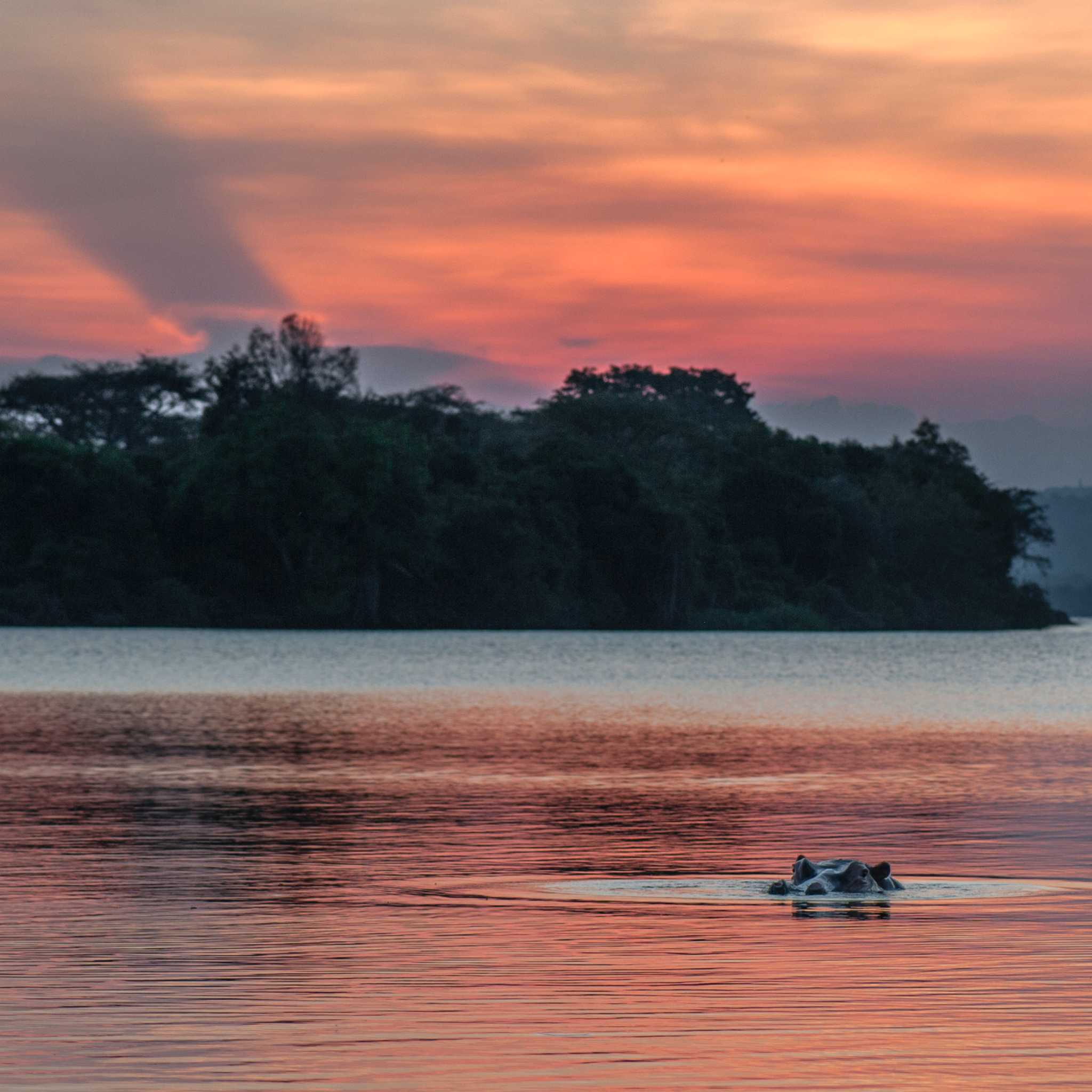 Lake Mburo National Park