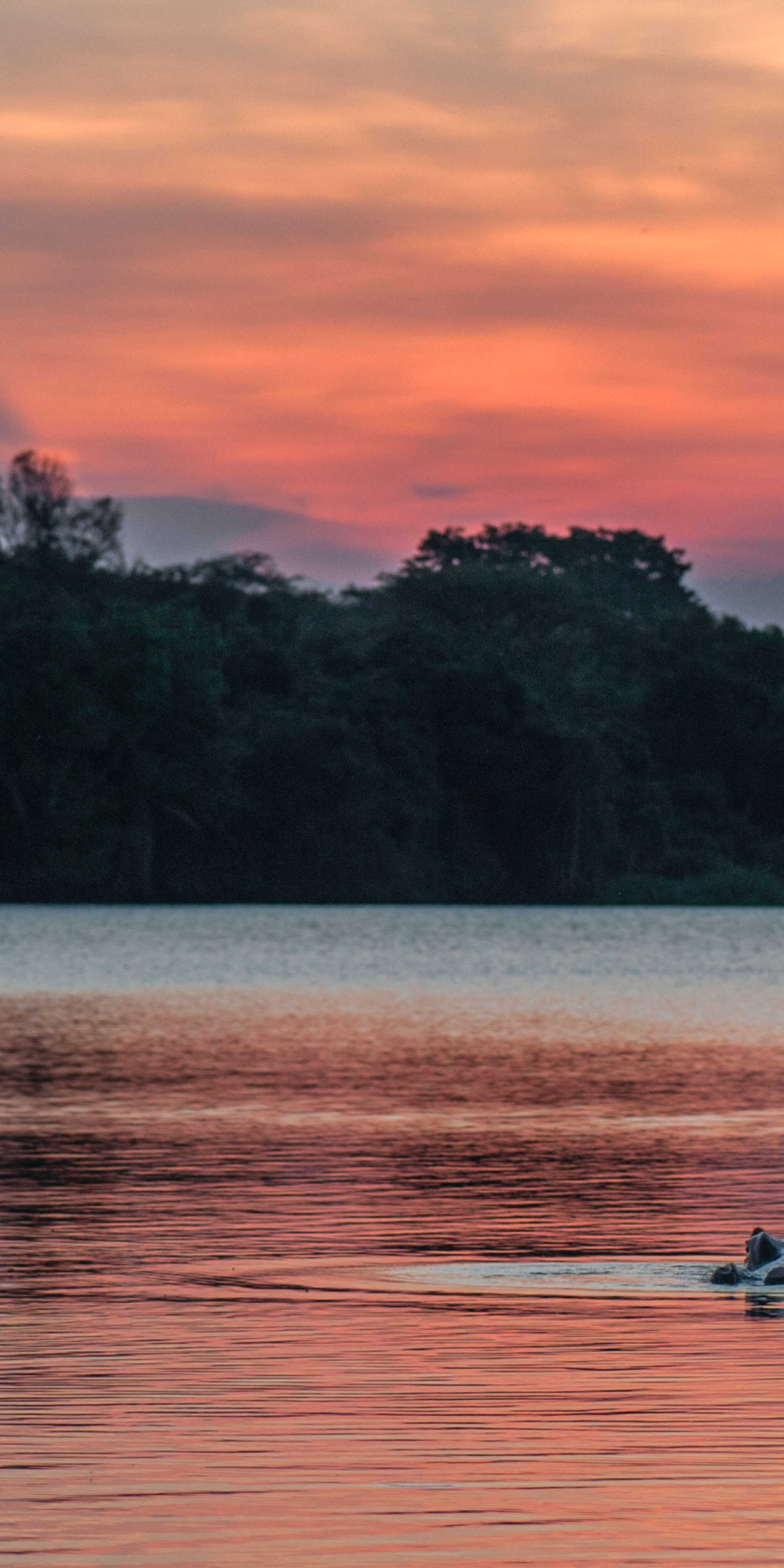 姆布罗湖国家公园