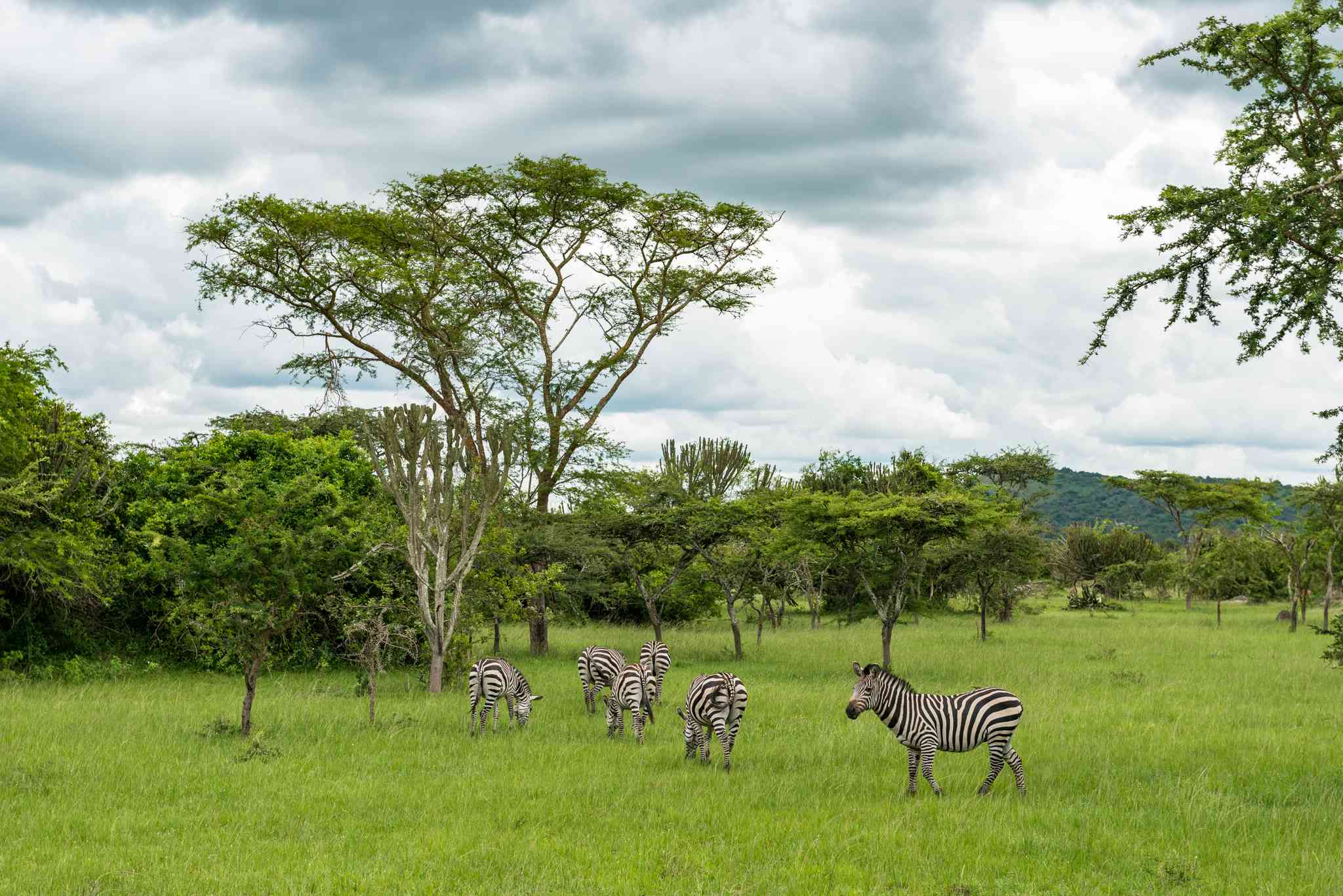 Scenic view of Entebbe - private day trip from Lake Mburo National Park - photo 3