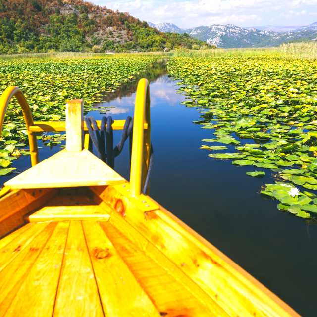 Shkoder to Lake Skadar: Private day trip