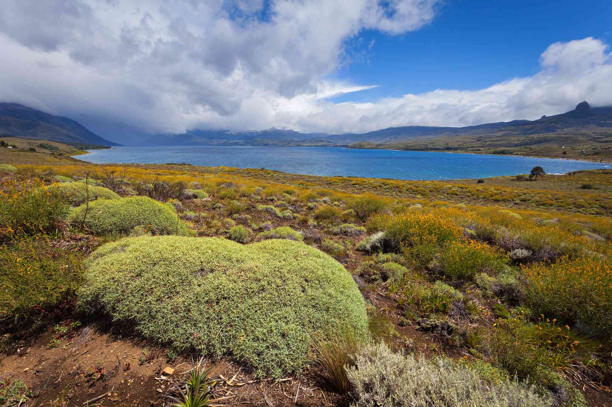 Vacker vy över Bariloche - privat dagsutflykt från Lanin National Park - foto 5