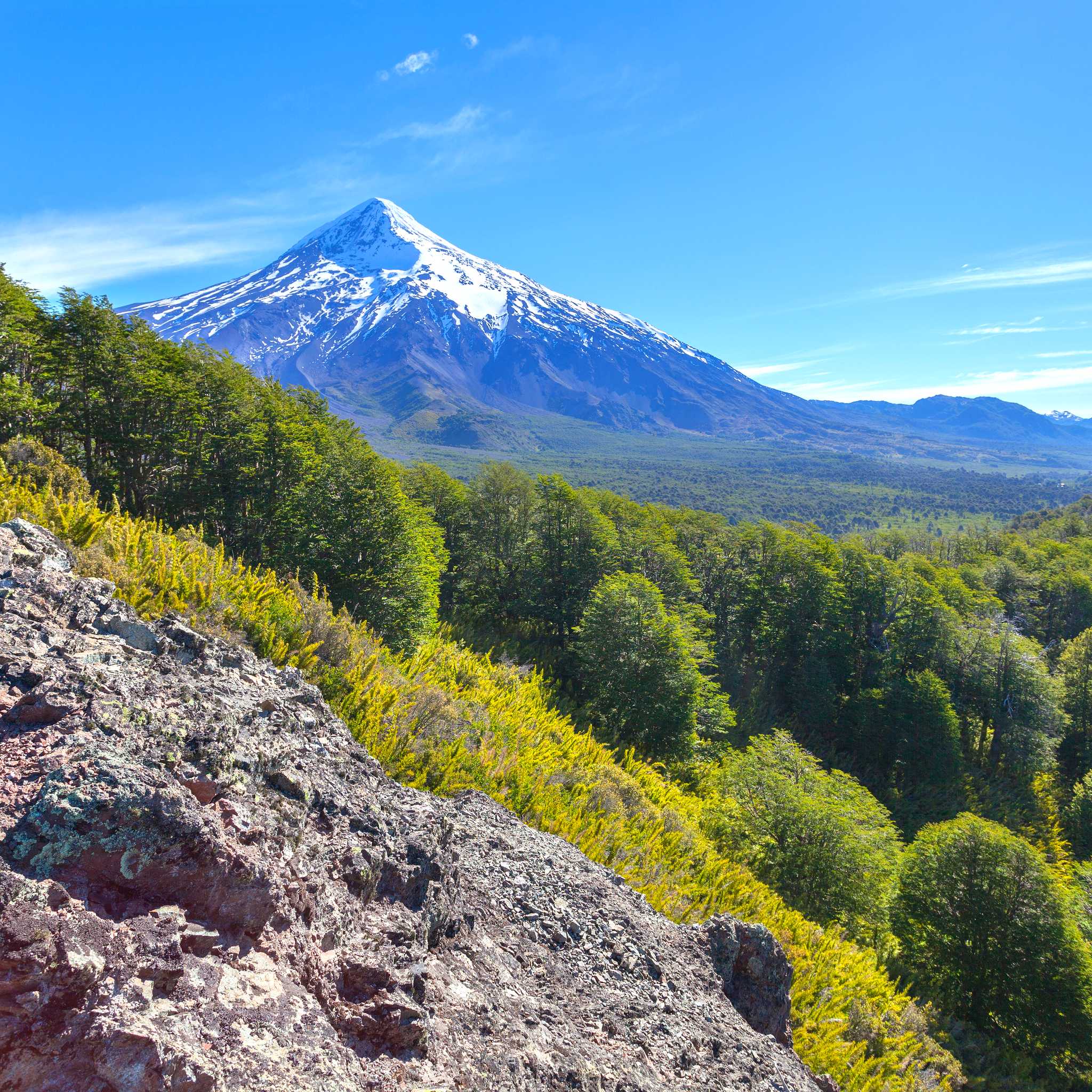 Lanin National Park