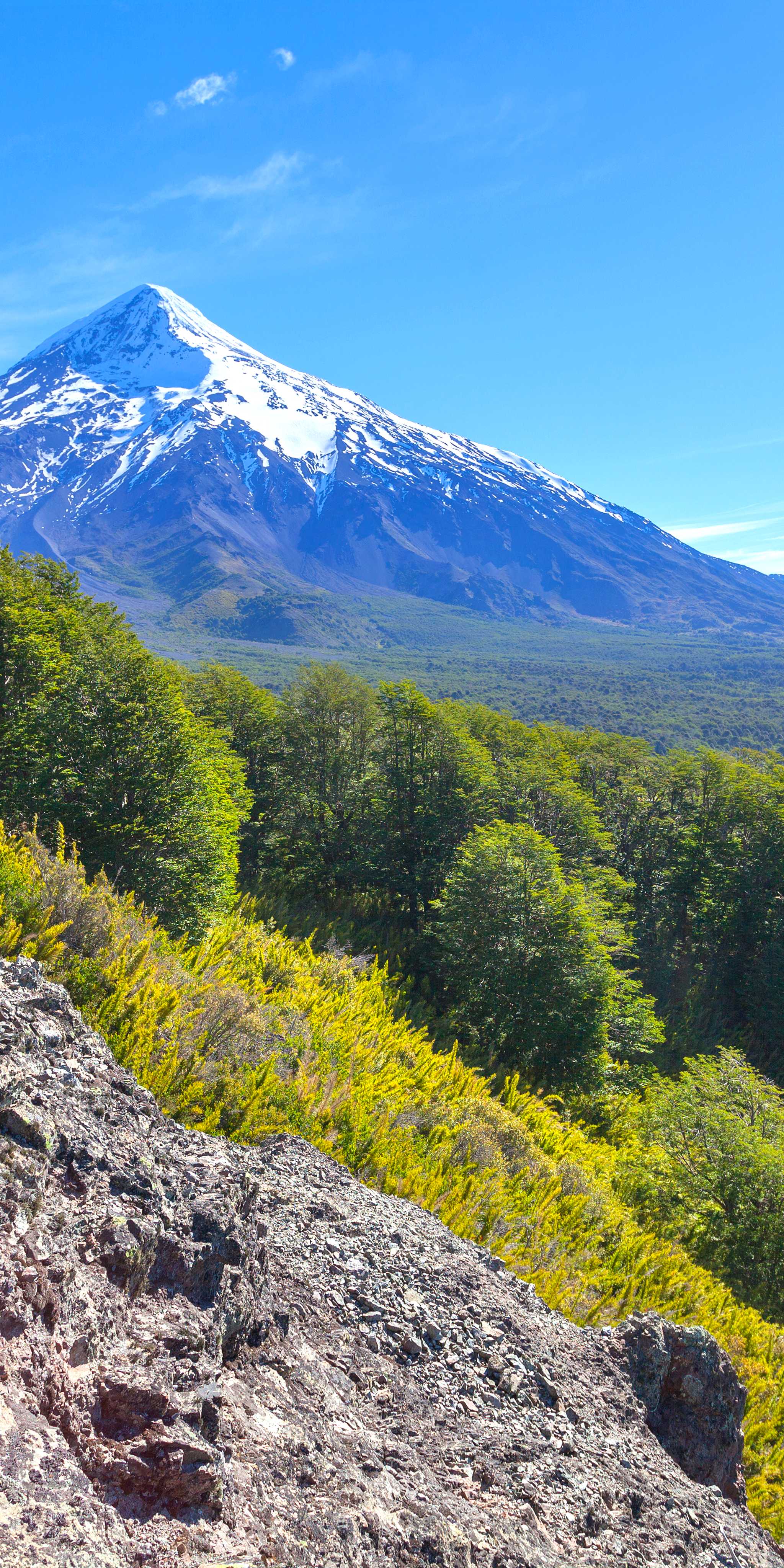 Lanin National Park