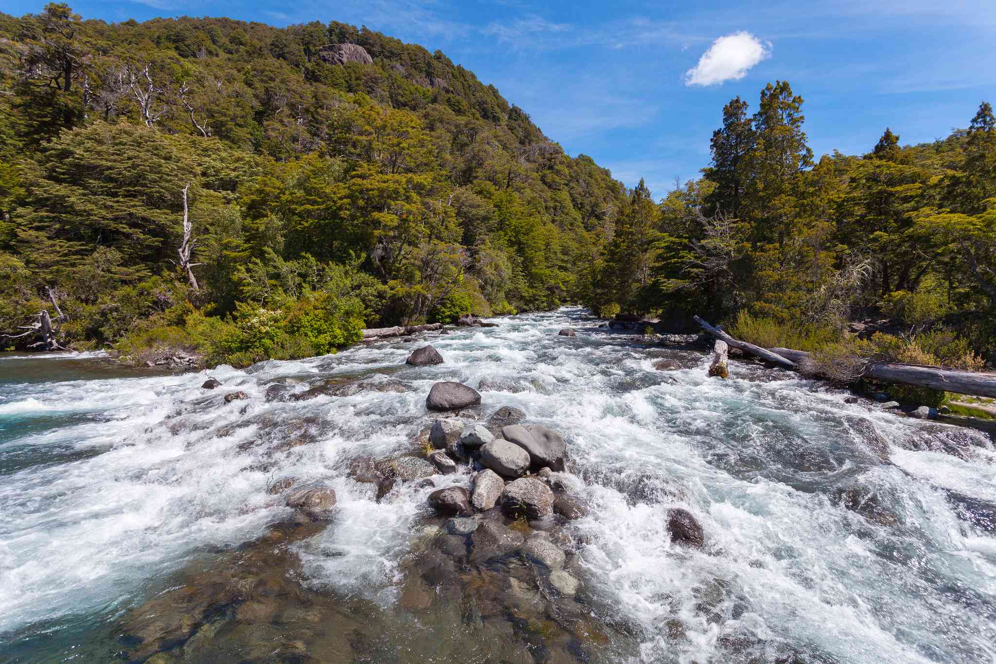 Vacker vy över Bariloche - privat dagsutflykt från Lanin National Park - foto 6
