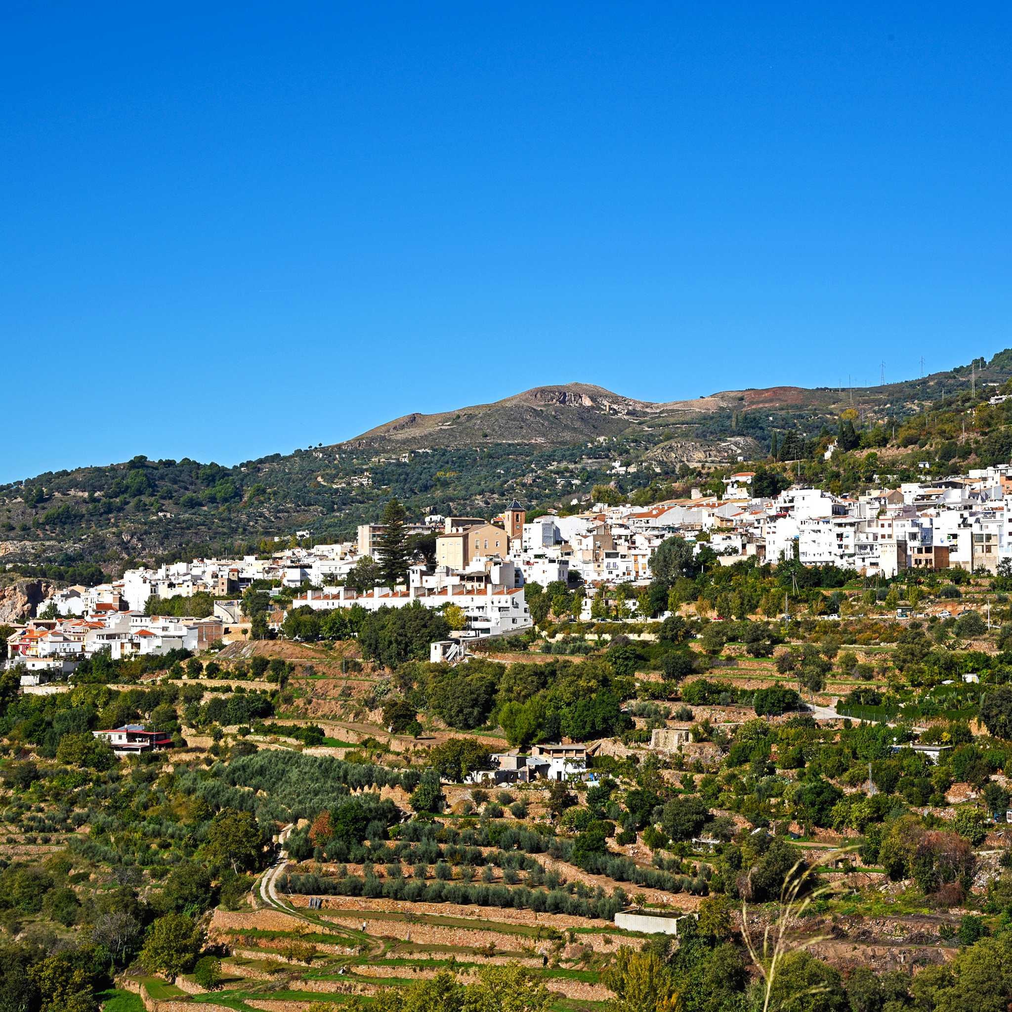 Lanjaron