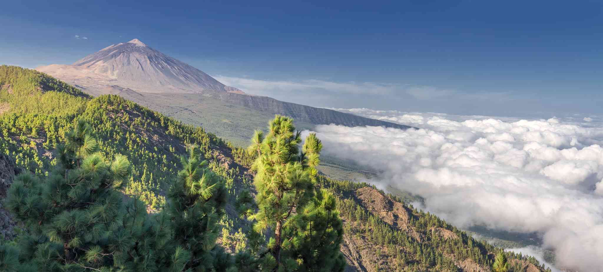 Santa Cruz de Tenerife 의 경치 - 라 오로타바 에서 출발하는 개인 day trip - 사진 9
