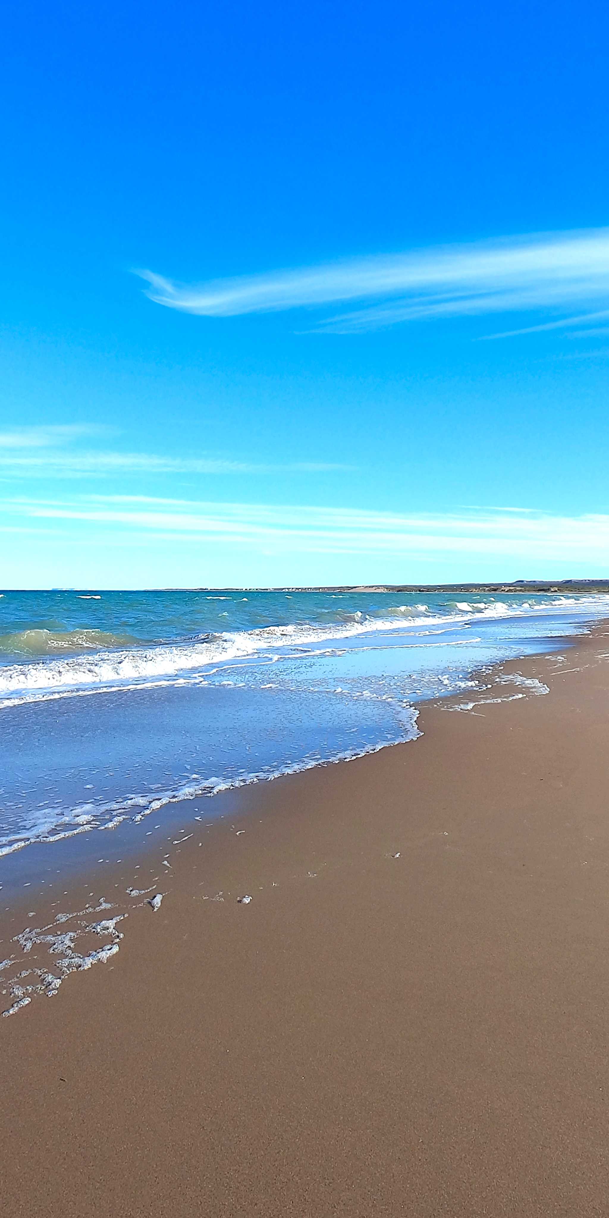 拉斯·格鲁塔斯