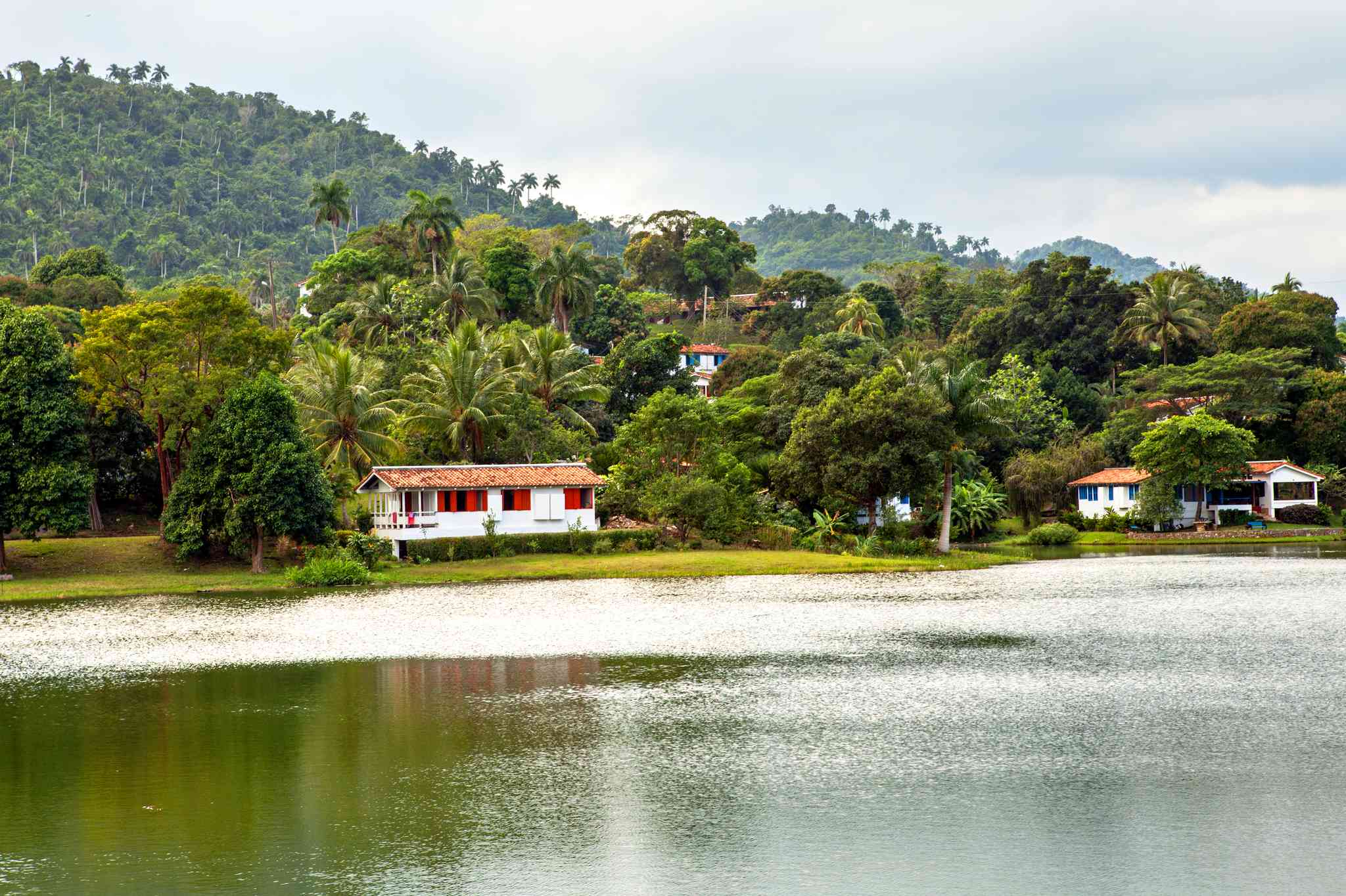 Scenic view of Las Terrazas - private day trip from Havana - photo 2