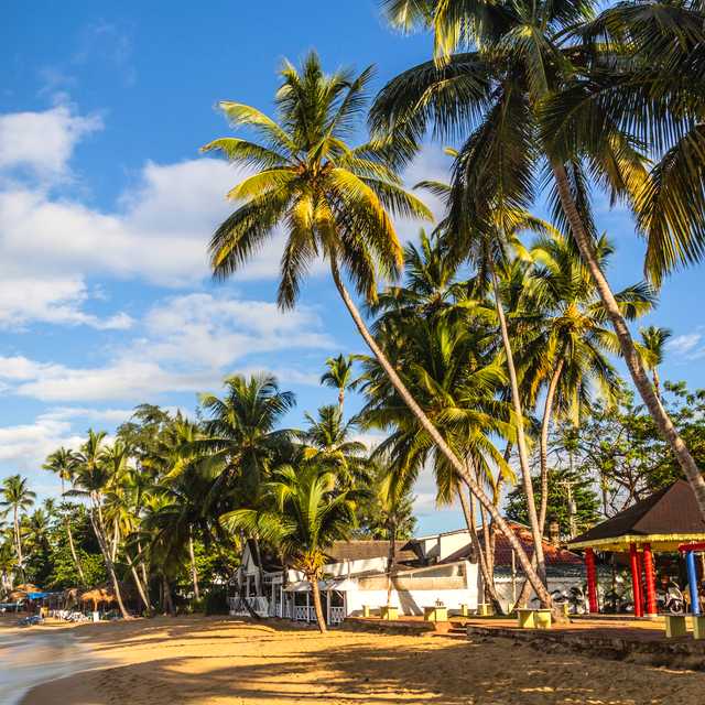 Santo Domingo to Las Terrenas: Private day trip