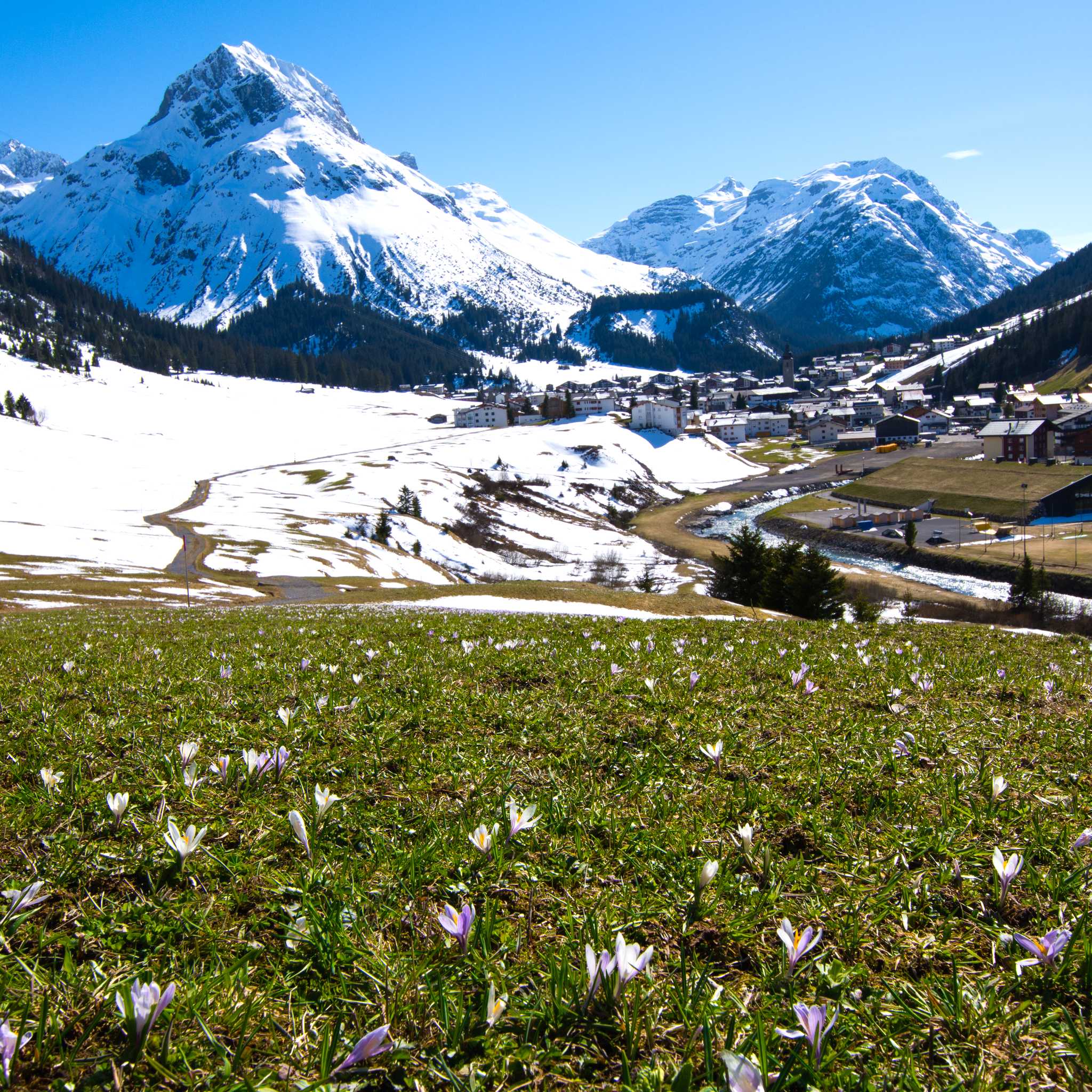 Lech