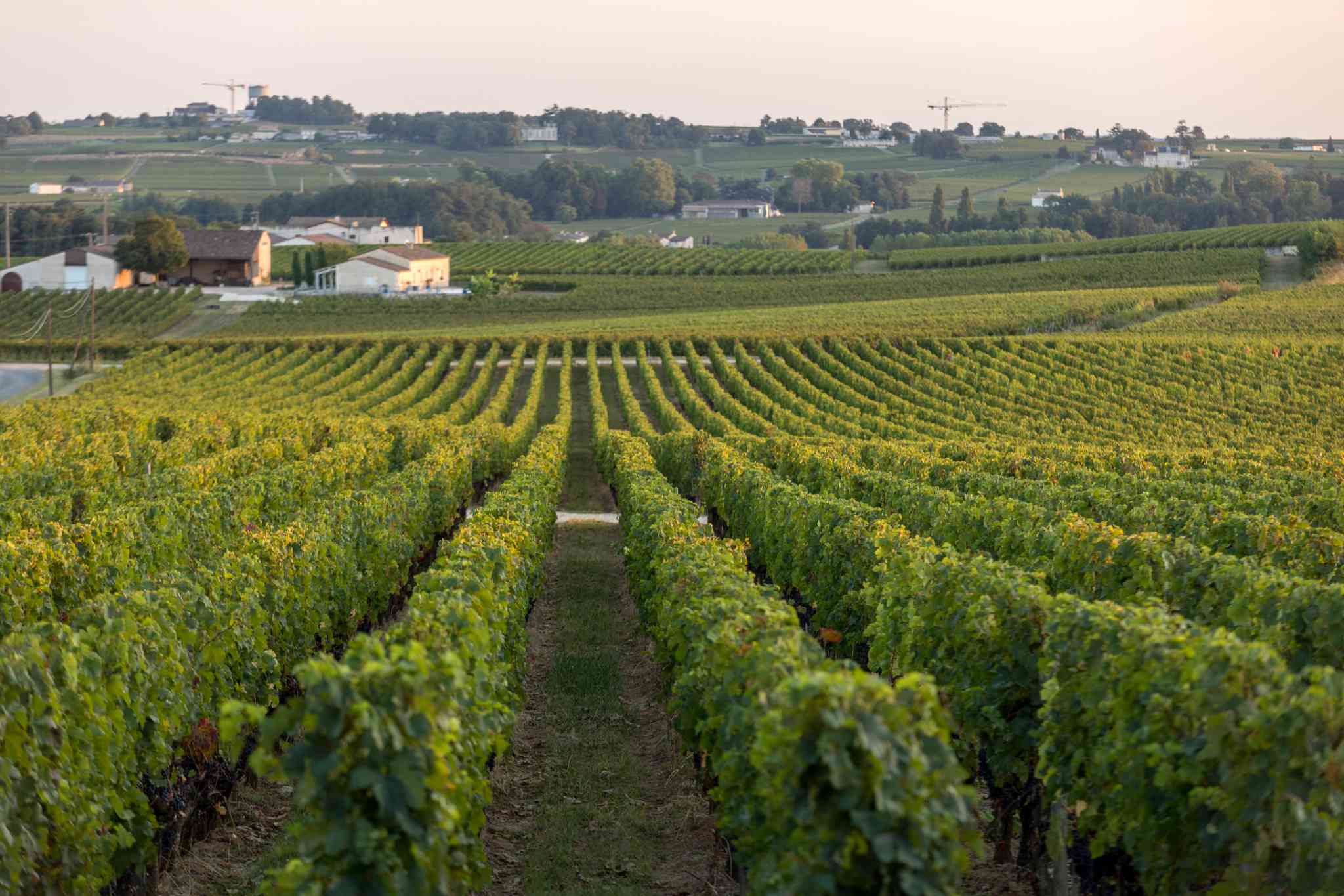Scenic view of Libourne - private day trip from Paris - photo 2
