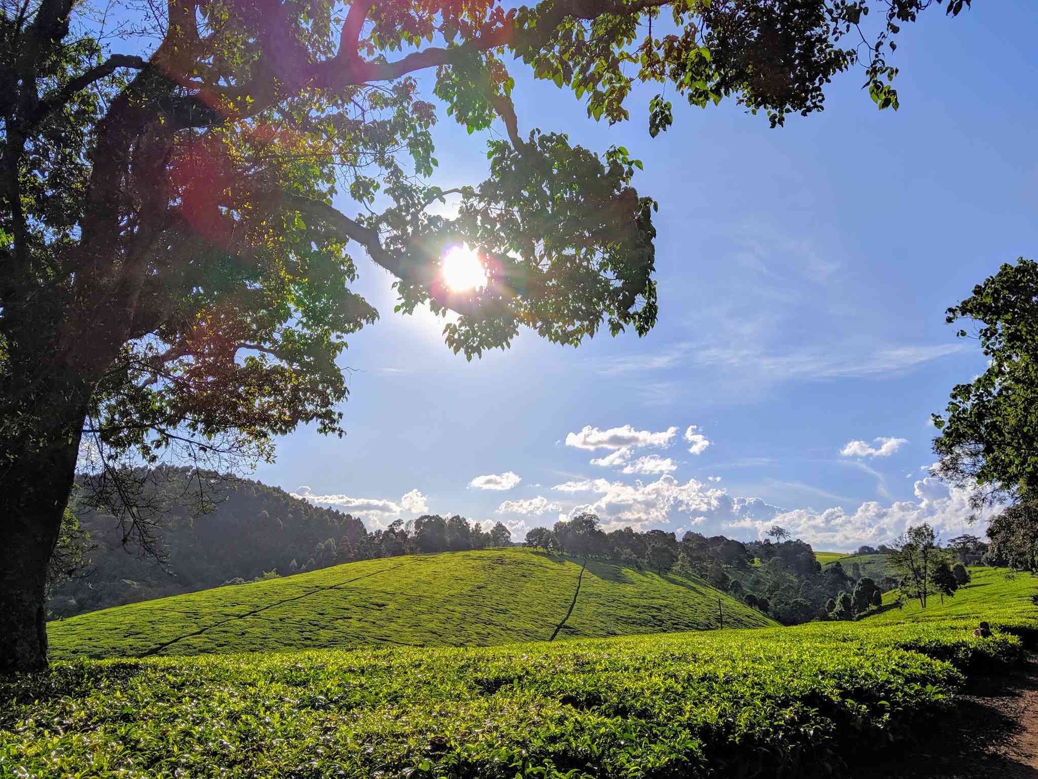 Vista panorámica de Nakuru - excursión privada de un día desde Limuru - foto 5