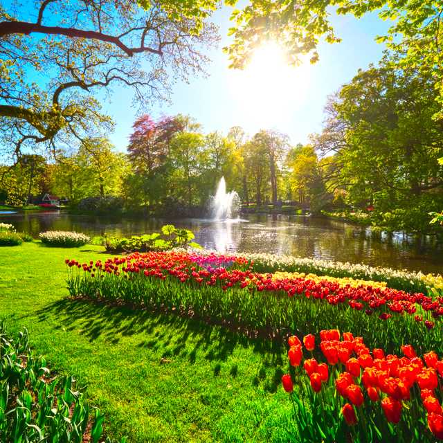 Utrecht to the Flower Route towns: Private day trip