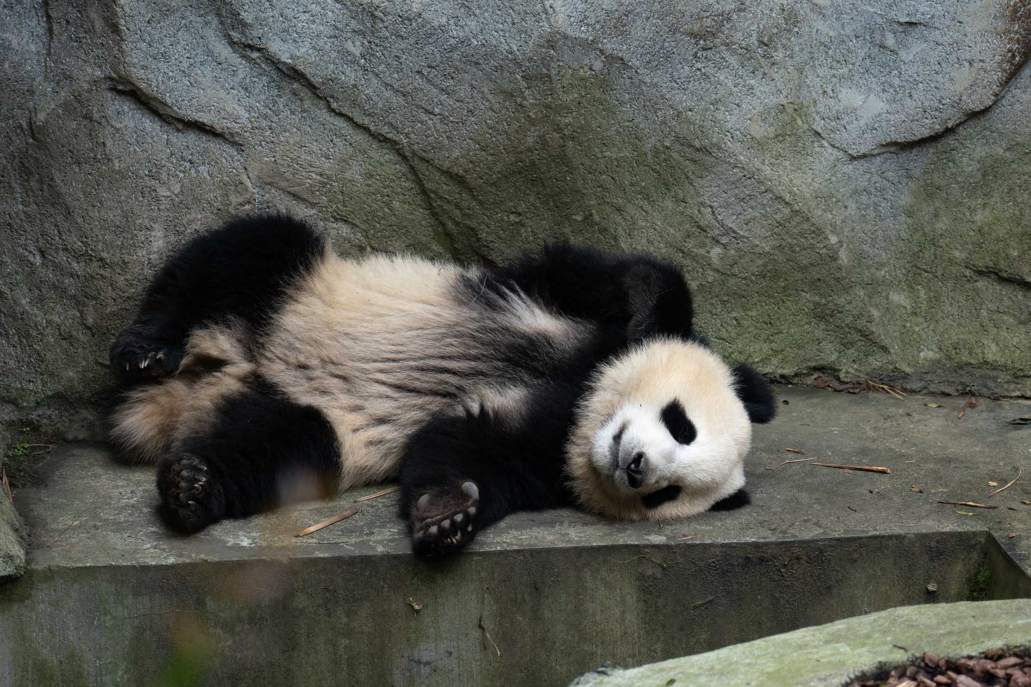 Visit Living Treasures "Wild" Animal Park on the way from pittsburgh-pa-us to youngstown-oh-us with Daytrip